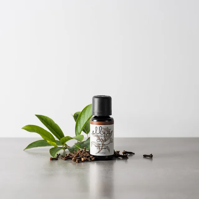 homedics-clove-essential-oil-ellia-spicy-sweet-aromatherapy-oil-10ml image 1