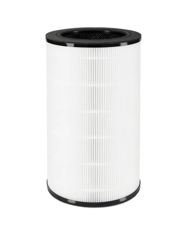 homedics-totalclean-petplus-replacement-true-hepa-filter-for-ap-pet35 image 1