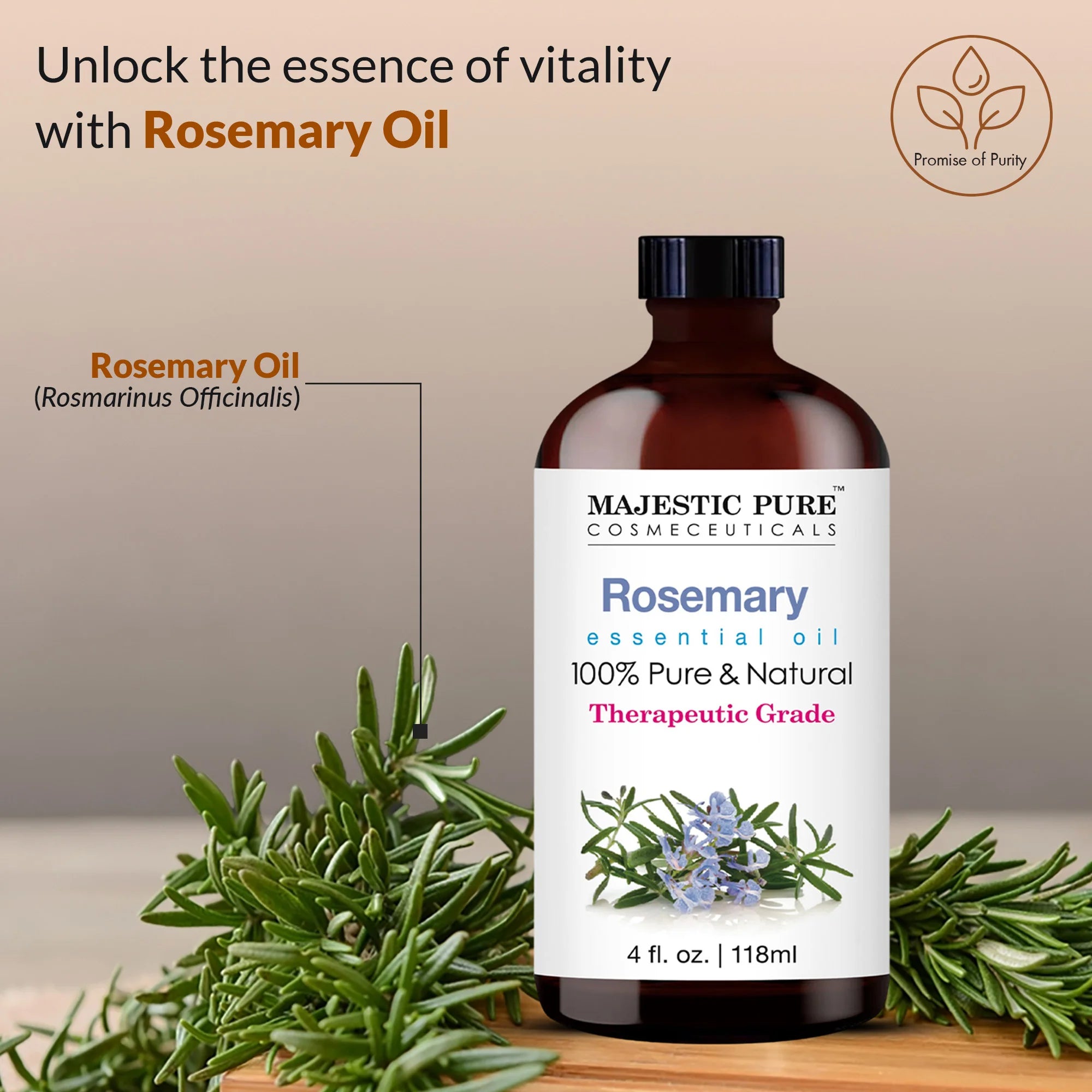 majestic-pure-rosemary-essential-oil-100-pure-and-natural-4-fl-oz-for-hair-growt image 3