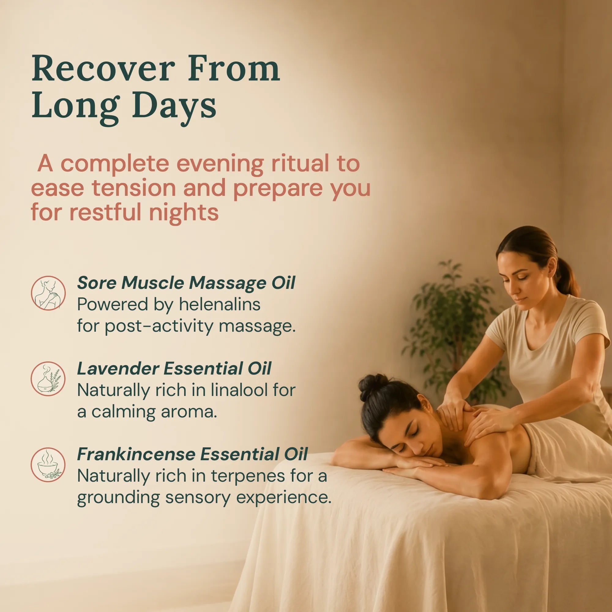 majestic-pure-rest-restore-pack-lavender-frankincense-essential-oils-with-sore-m image 2