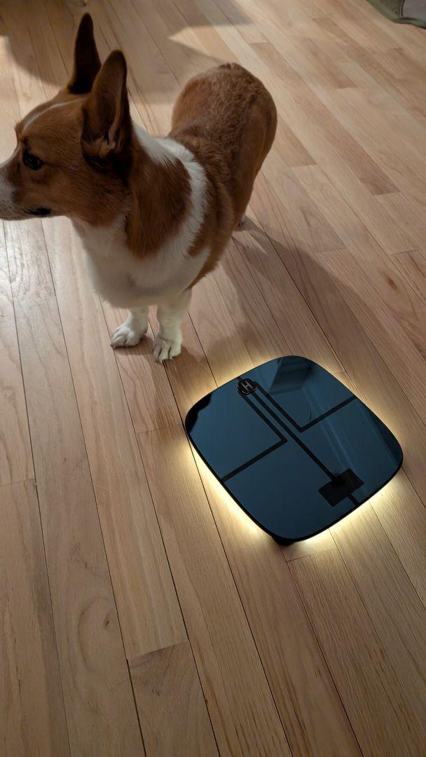 Sleek and functional