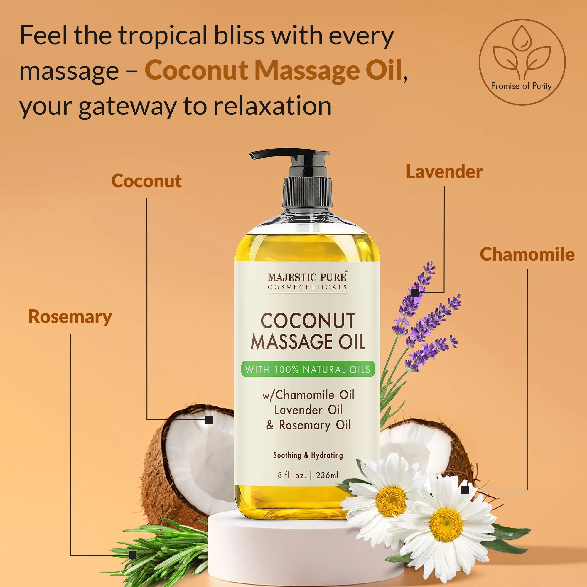 majestic-pure-coconut-massage-oil-with-rosemary-oil-8-fl-oz-lightweight-non-grea image 3