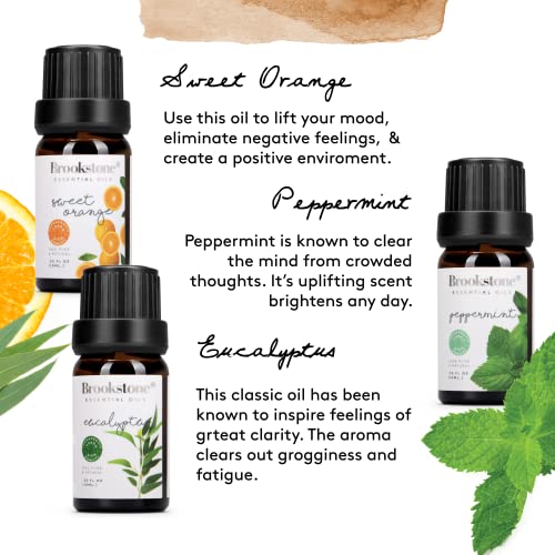 brookstone-essential-oil-herbal-collection-6-pack-10ml-bottles image 7