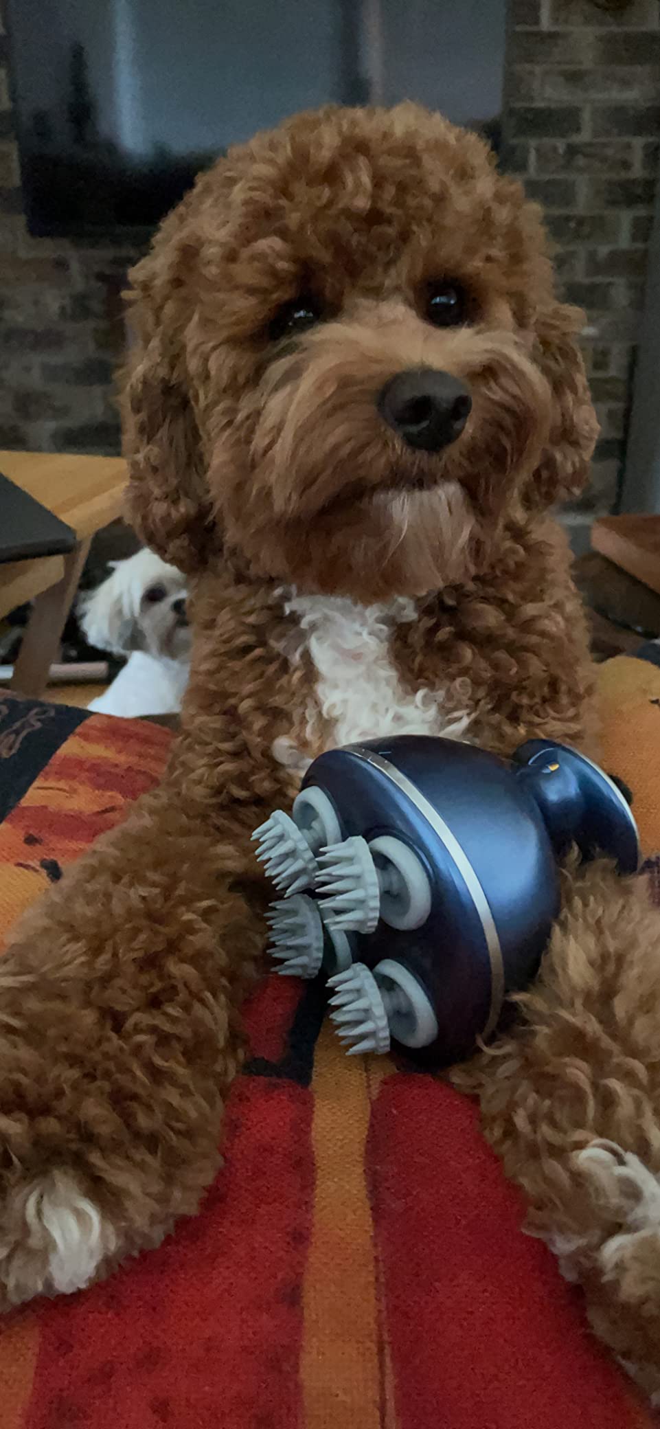 Solid massager