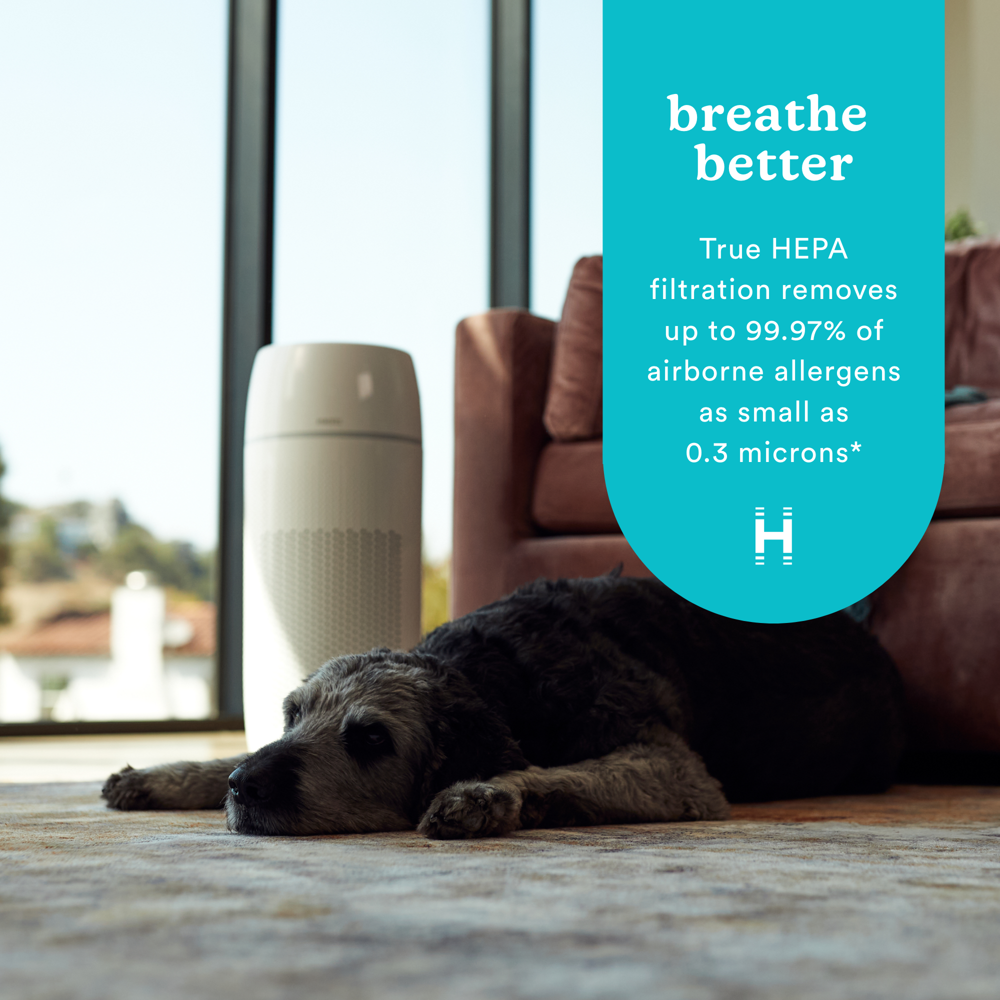 homedics-totalclean-petplus-5-in-1-air-purifier-with-petplus-activated-carbon-fi image 3