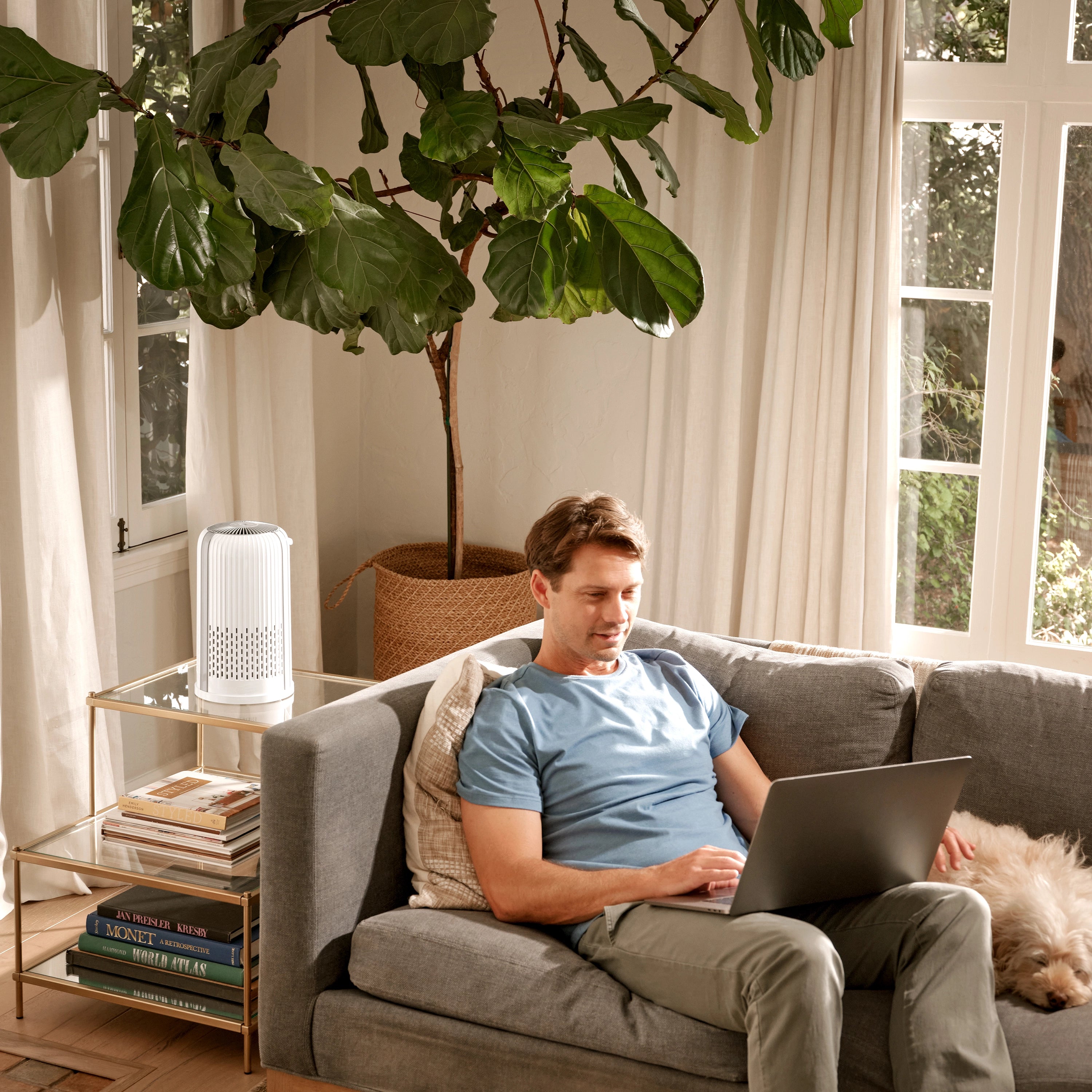 homedics-air-purifier-t12-hepa-air-purifier-for-allergens-smoke-and-odors image 7