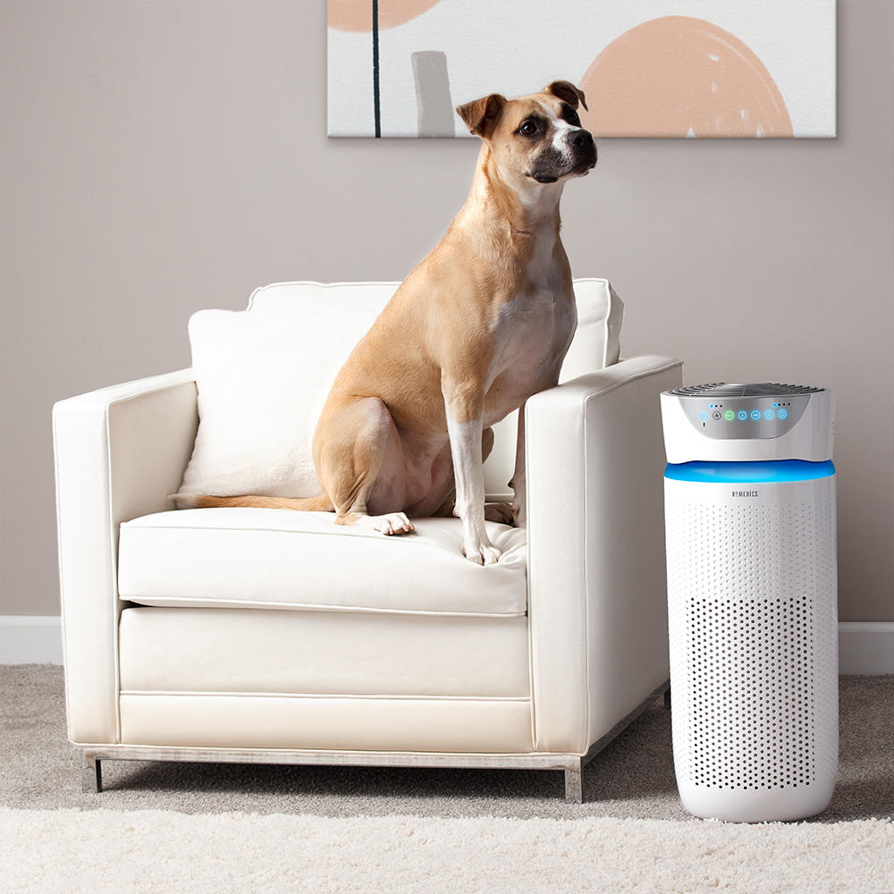 homedics-totalclean-5-in-1-uv-c-large-room-air-purifier image 4