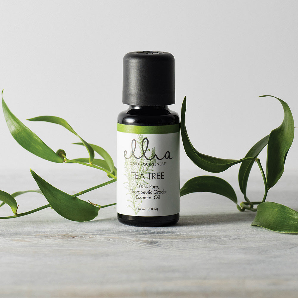 ellia-tea-tree-essential-oil-by-homedics-100-pure-australian-sourced-for-skin-an image 1