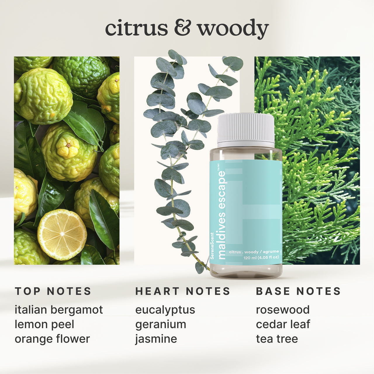 homedics-serenescent-waterless-home-fragrance-diffuser-oils-set image 3