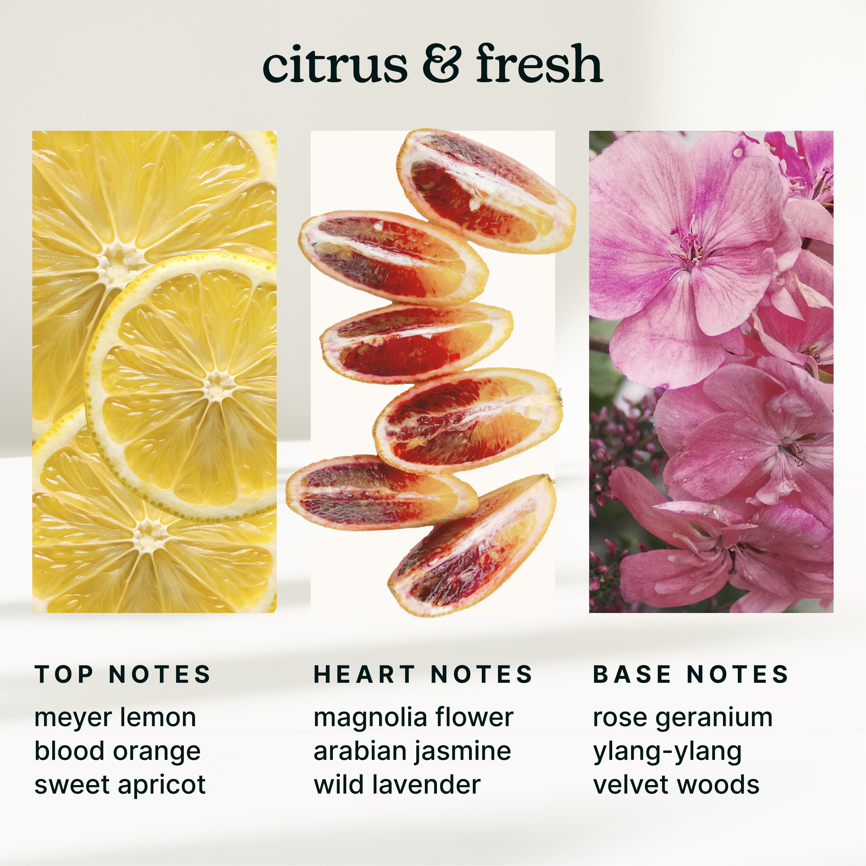homedics-serenescent-amalfi-bliss-essential-oil-diffuser-blend image 4