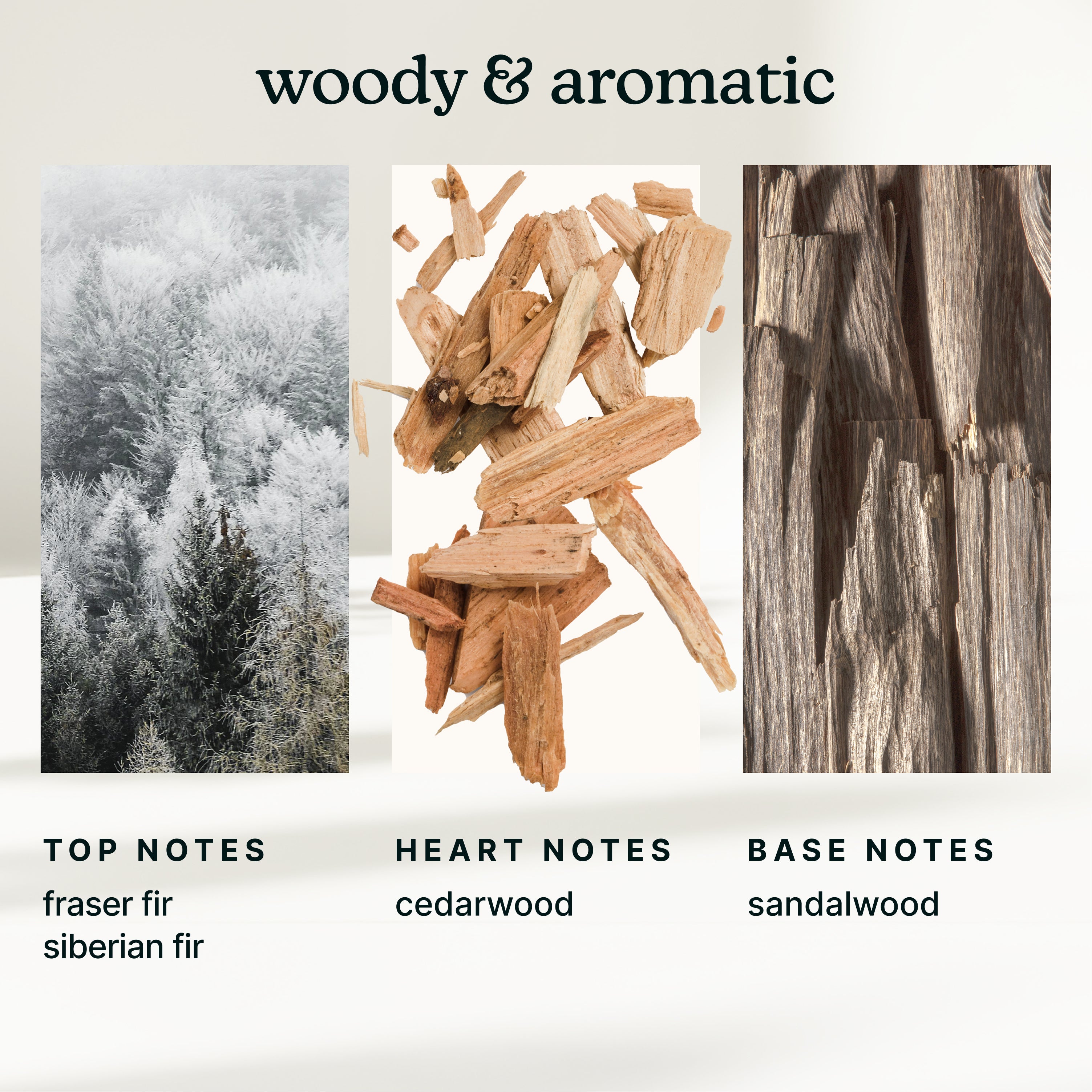 homedics-serenescent-aspen-fir-limited-edition-essential-oil-aromatherapy-refill image 4