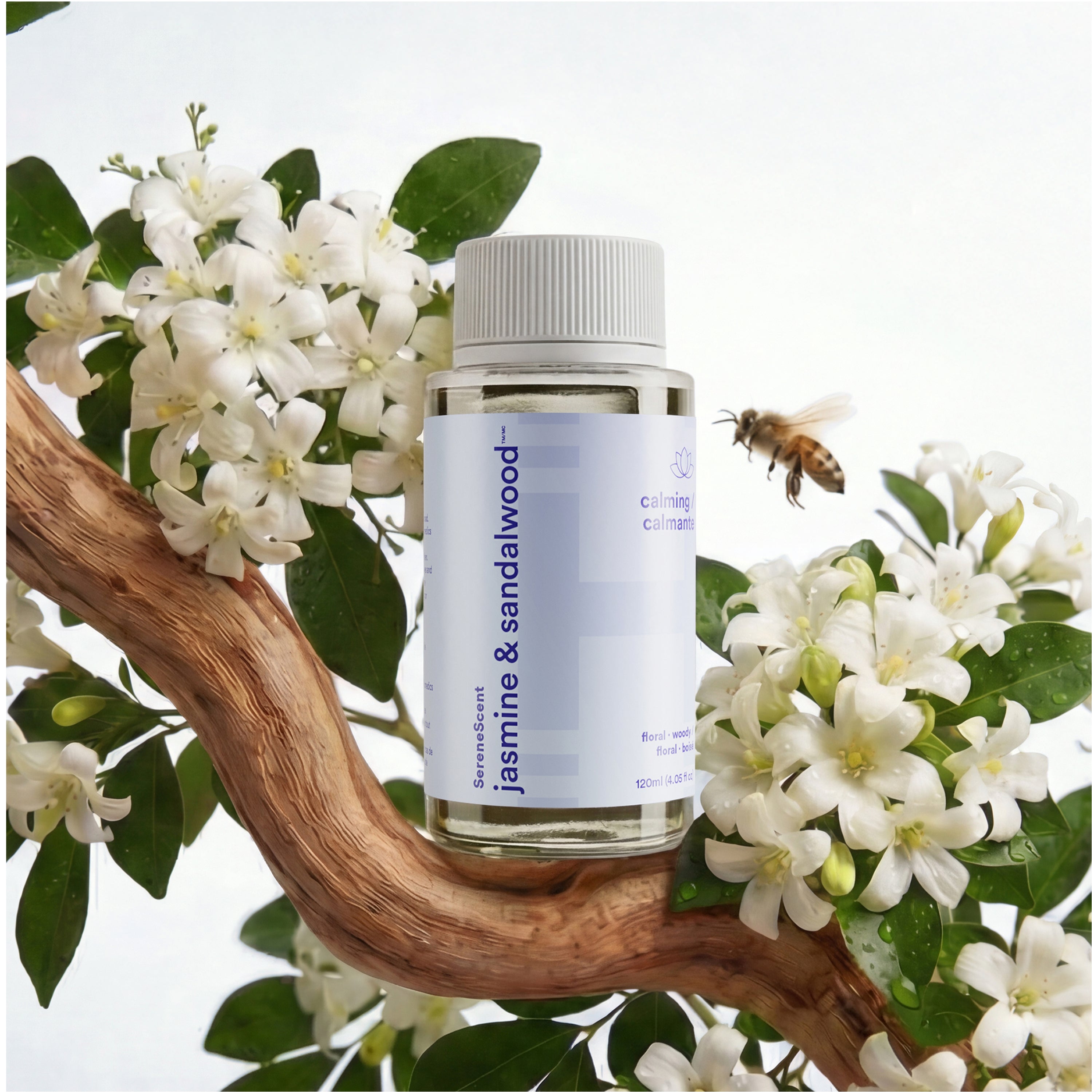 homedics-serenescent-jasmine-sandalwood-essential-oil-calming-blend image 1