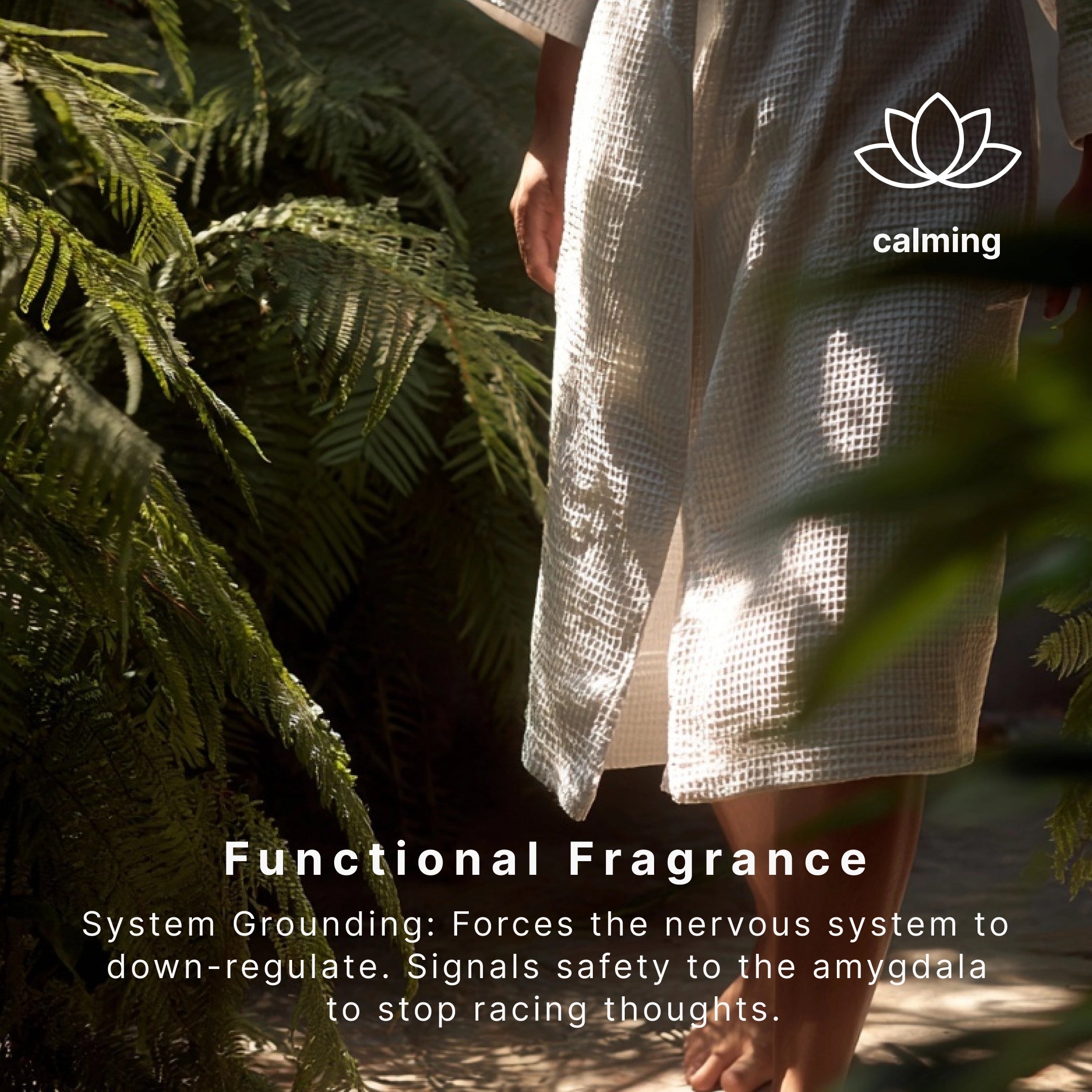 homedics-serenescent-jasmine-sandalwood-essential-oil-calming-blend image 3