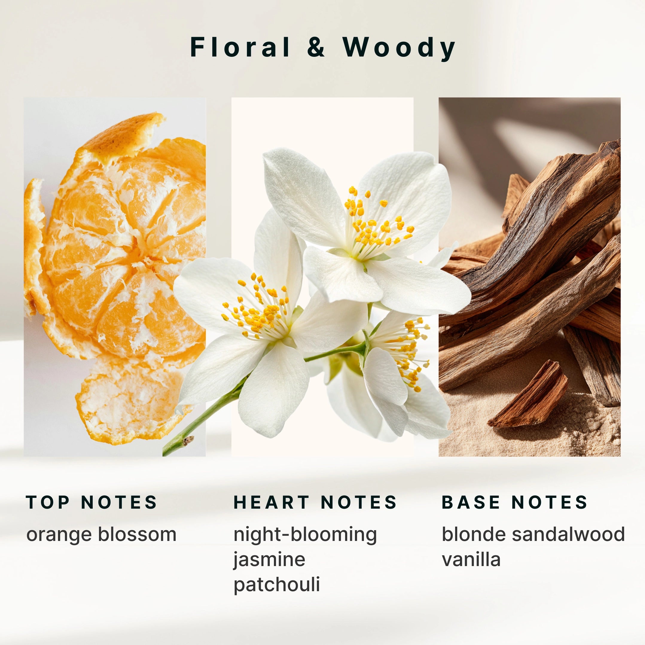homedics-serenescent-jasmine-sandalwood-essential-oil-calming-blend image 6