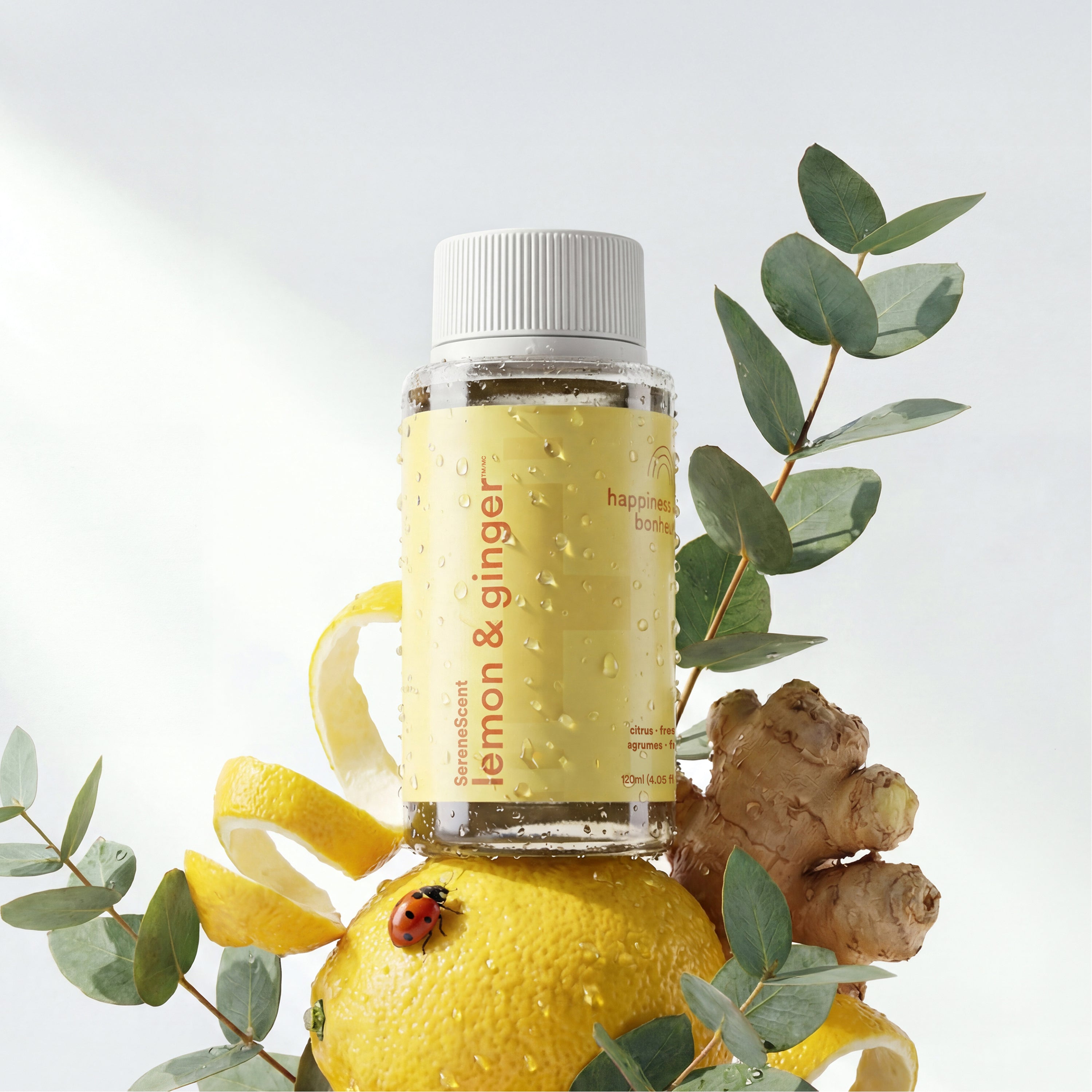 homedics-serenescent-lemon-ginger-aromatherapy-oil image 1