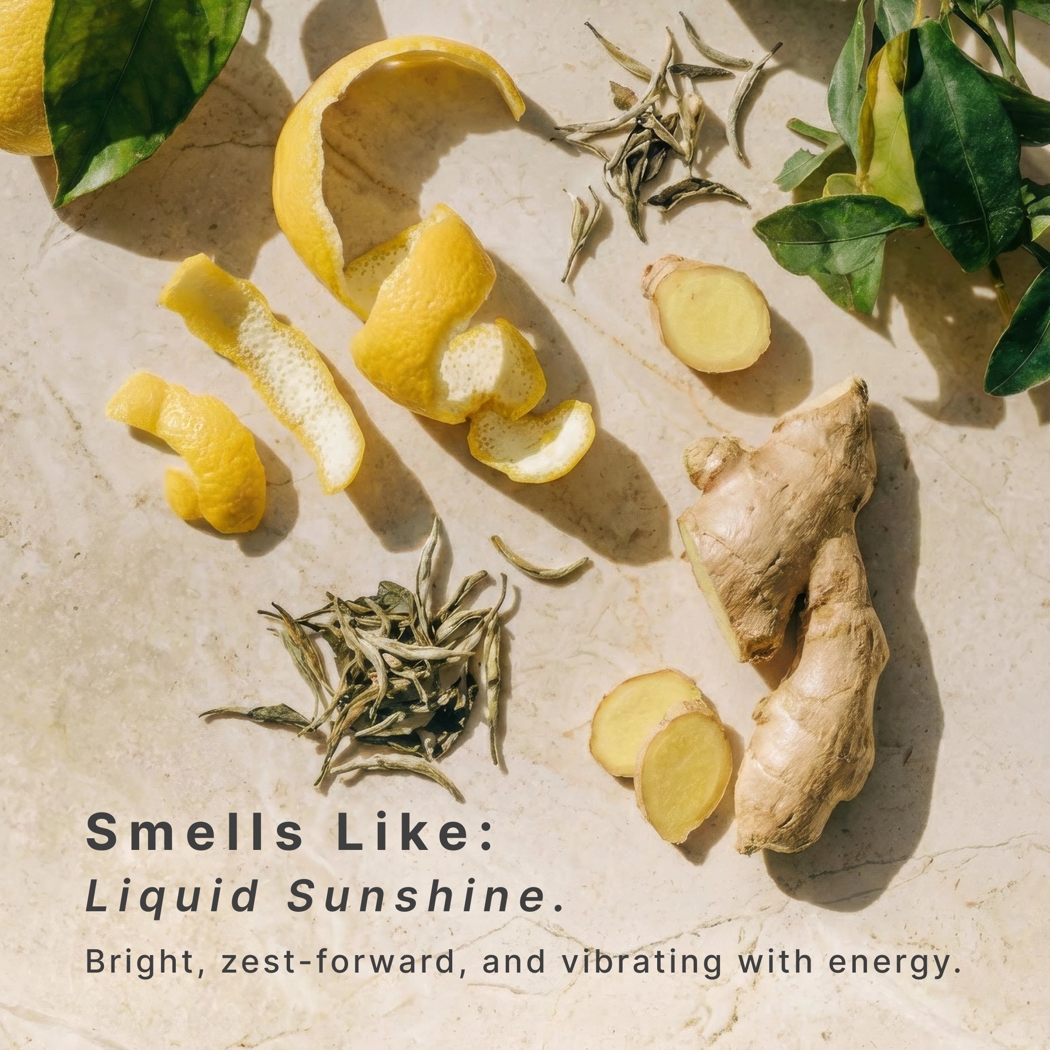 homedics-serenescent-lemon-ginger-aromatherapy-oil image 4