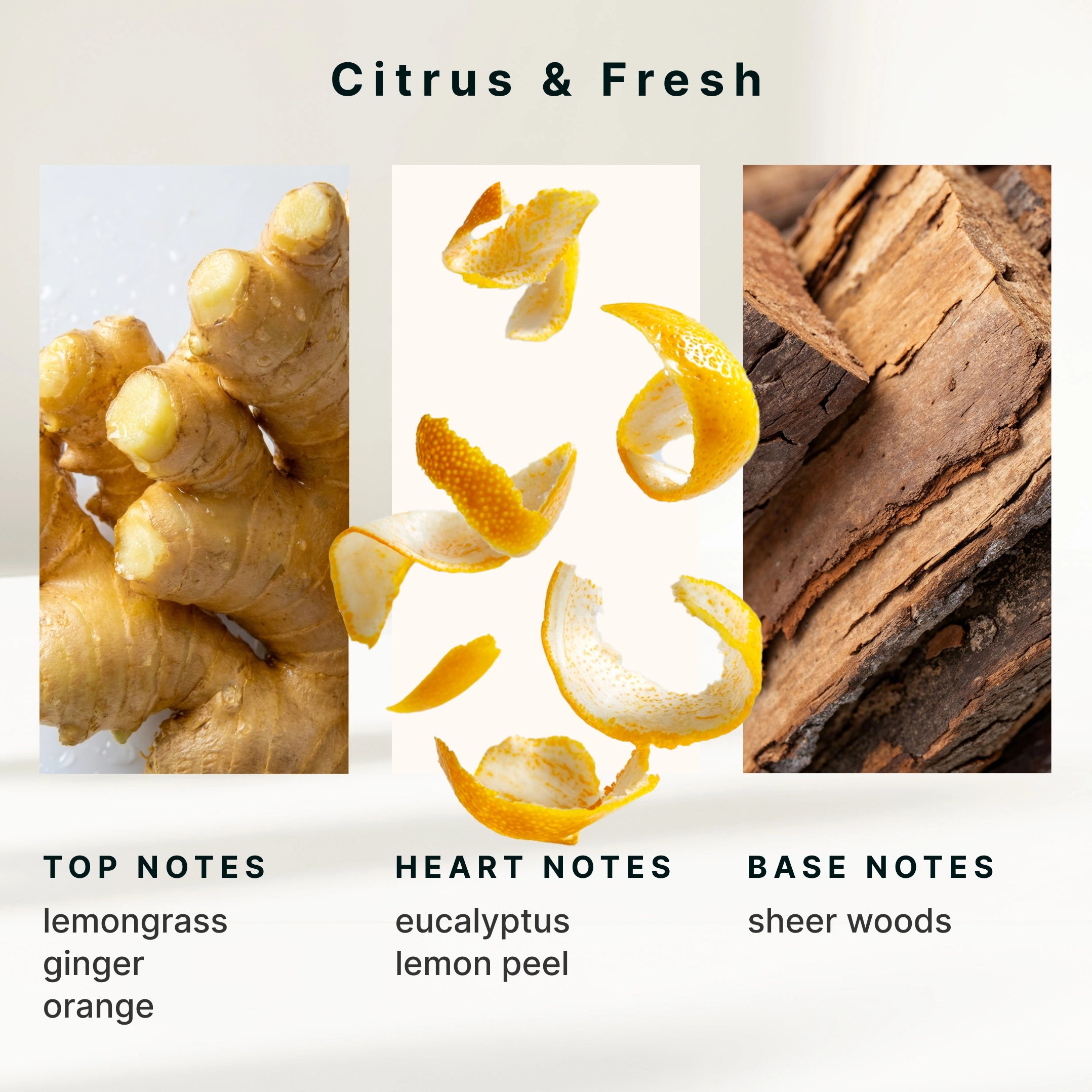 homedics-serenescent-lemon-ginger-aromatherapy-oil image 6