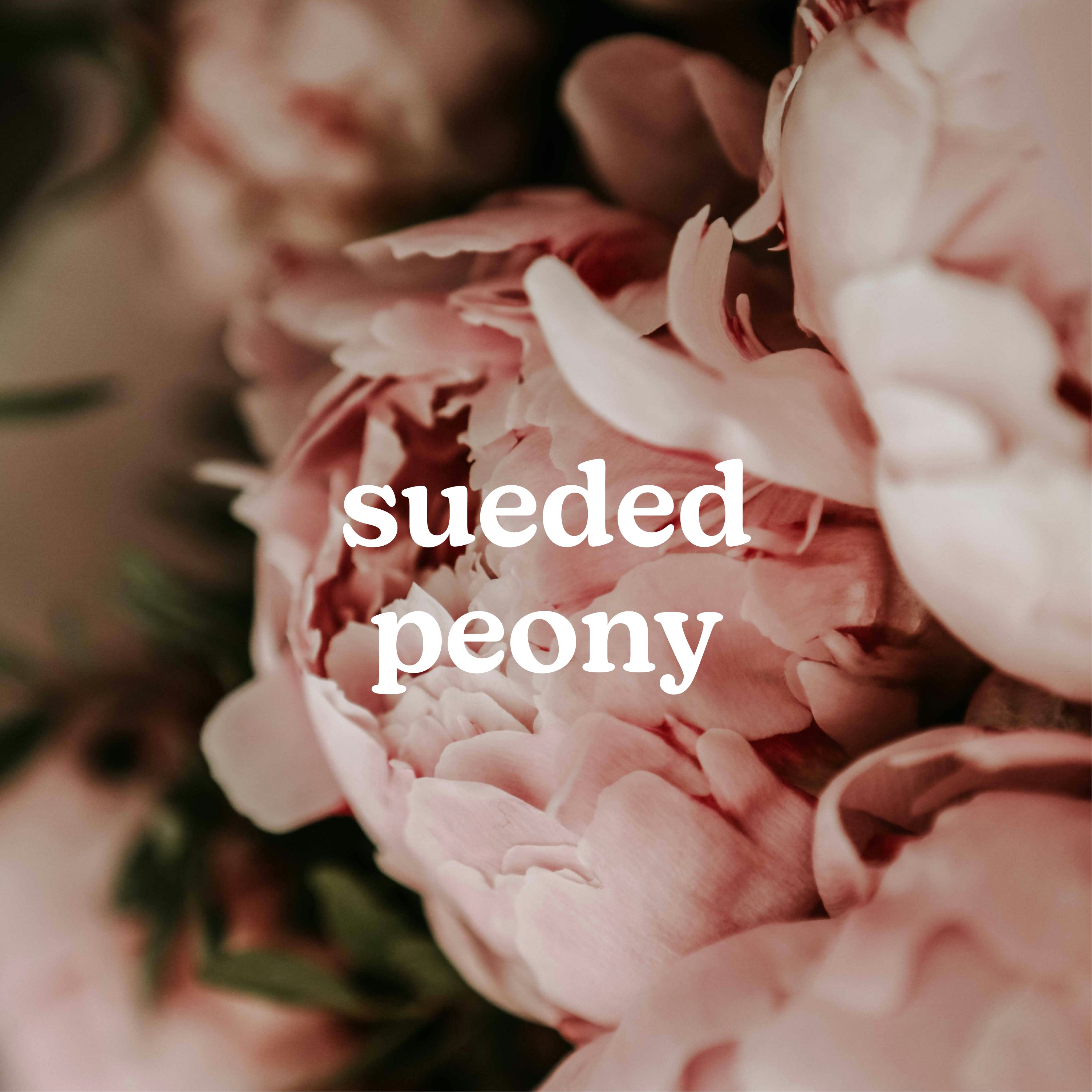 homedics-serenescent-sueded-peony-essential-oil-blend-floral-home-fragrance-for- image 2