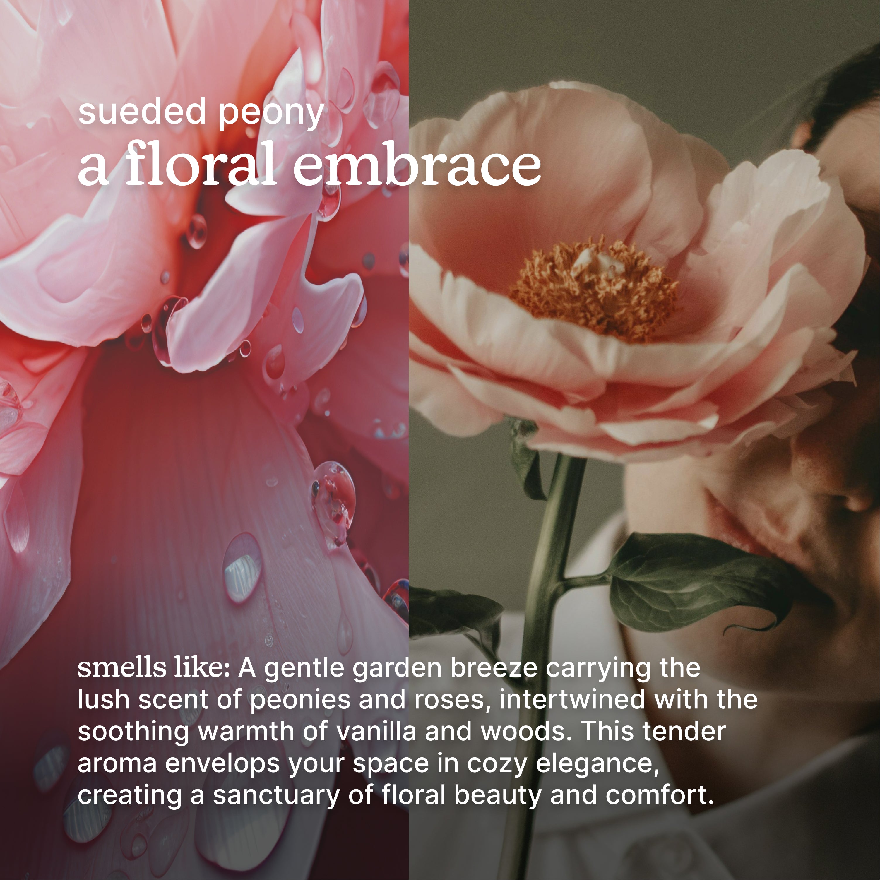 homedics-serenescent-sueded-peony-essential-oil-blend-floral-home-fragrance-for- image 3