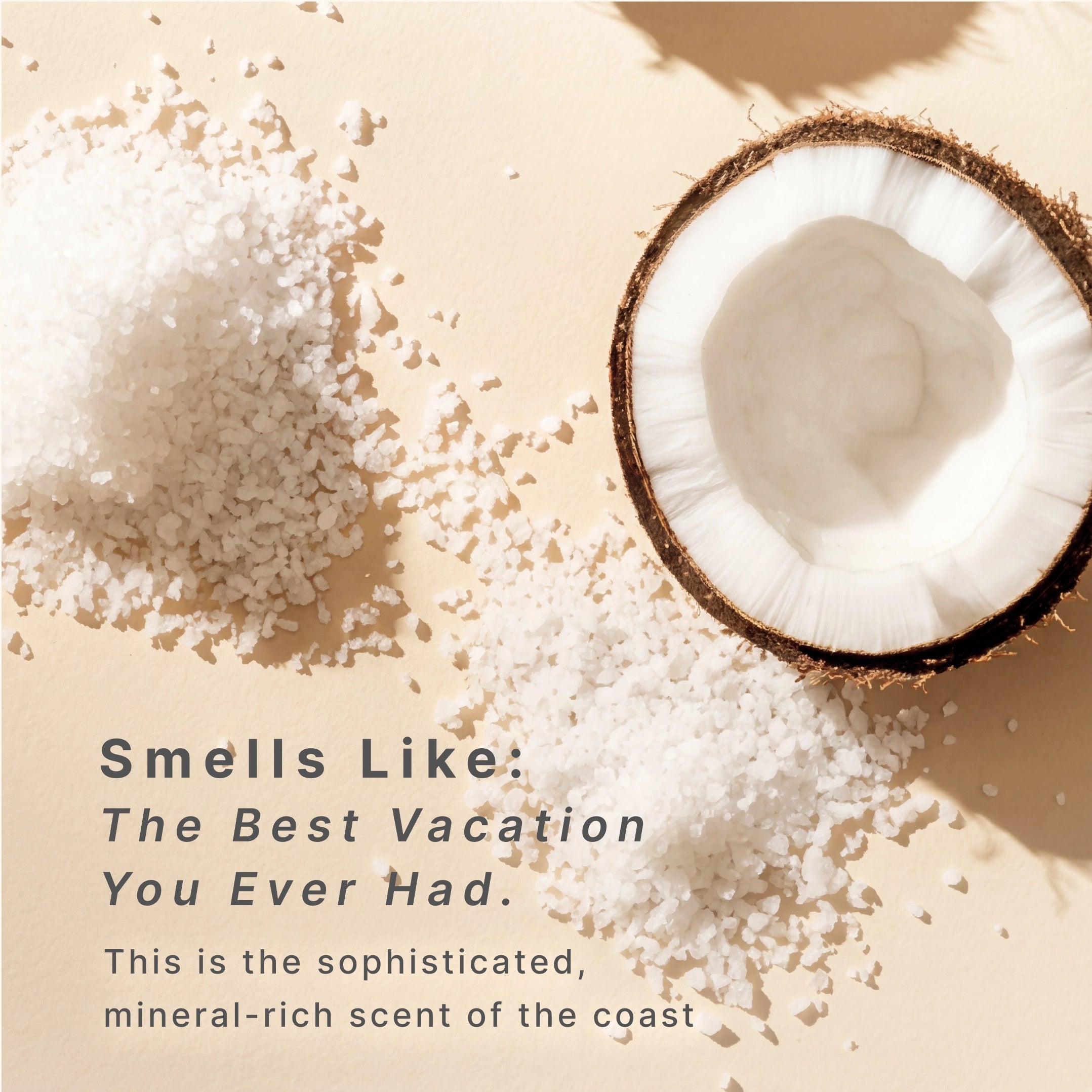 homedics-serenescent-sea-salt-coconut-aromatherapy-oil-wellness-series image 4