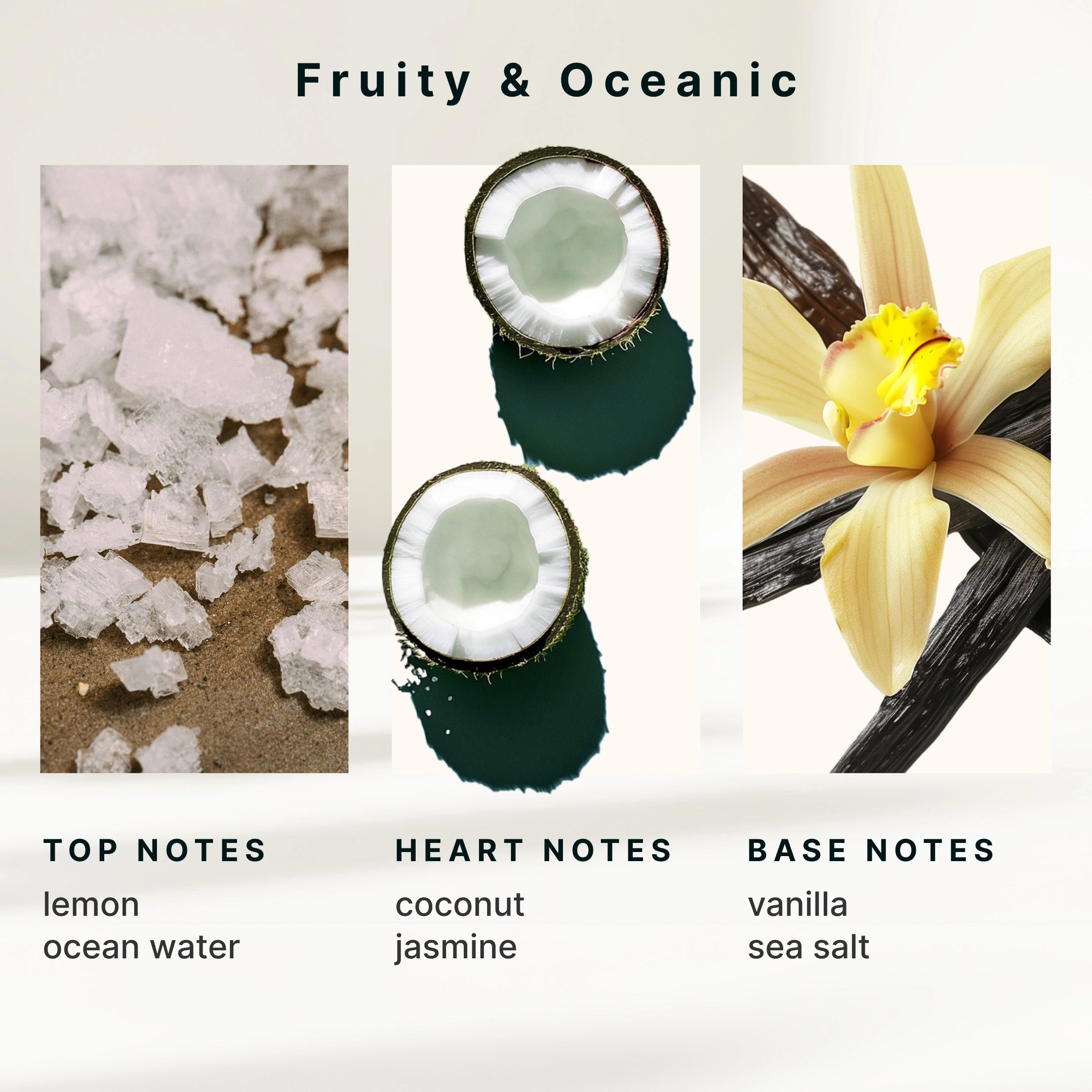 homedics-serenescent-sea-salt-coconut-aromatherapy-oil-wellness-series image 6