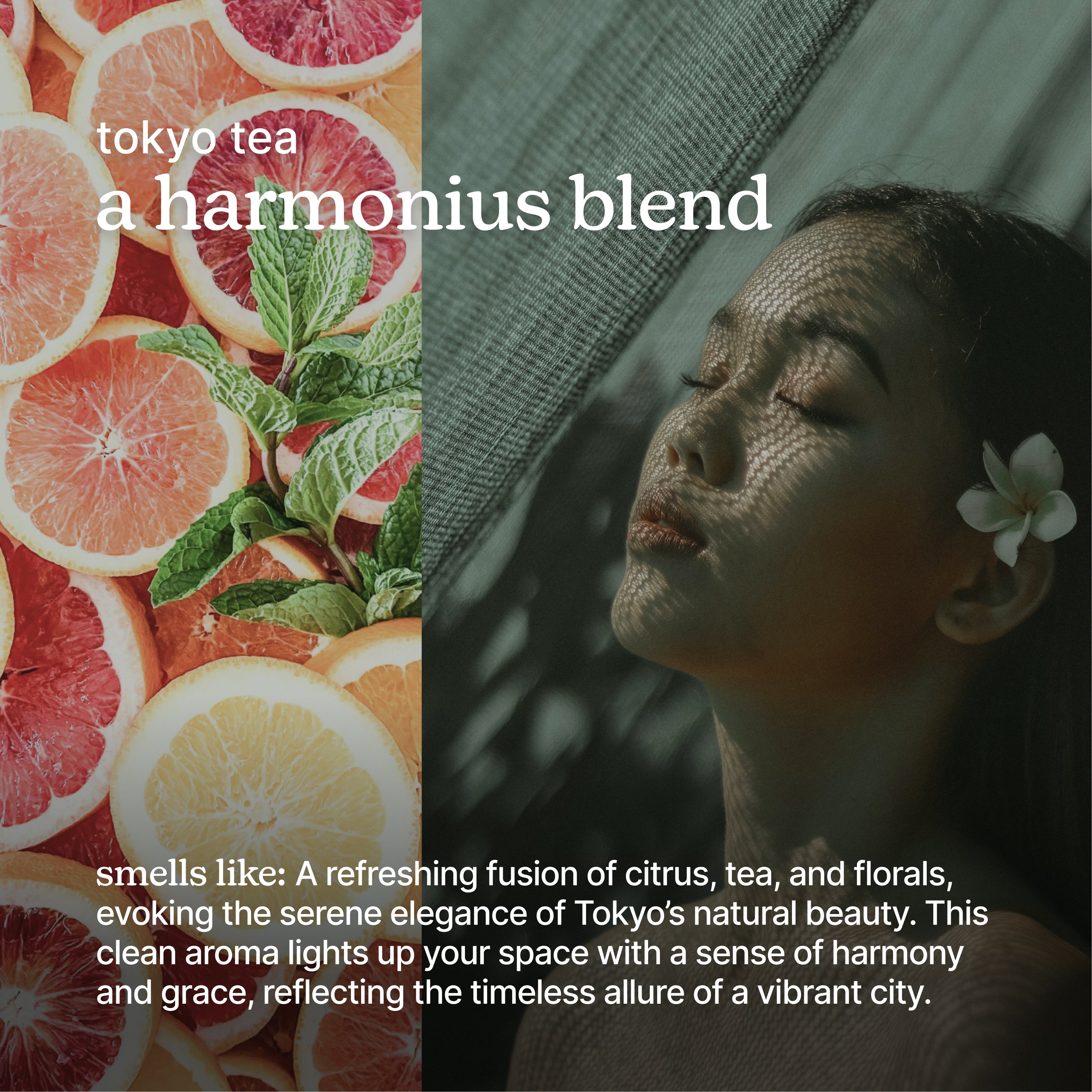 homedics-serenescent-tokyo-tea-aromatherapy-collection image 3