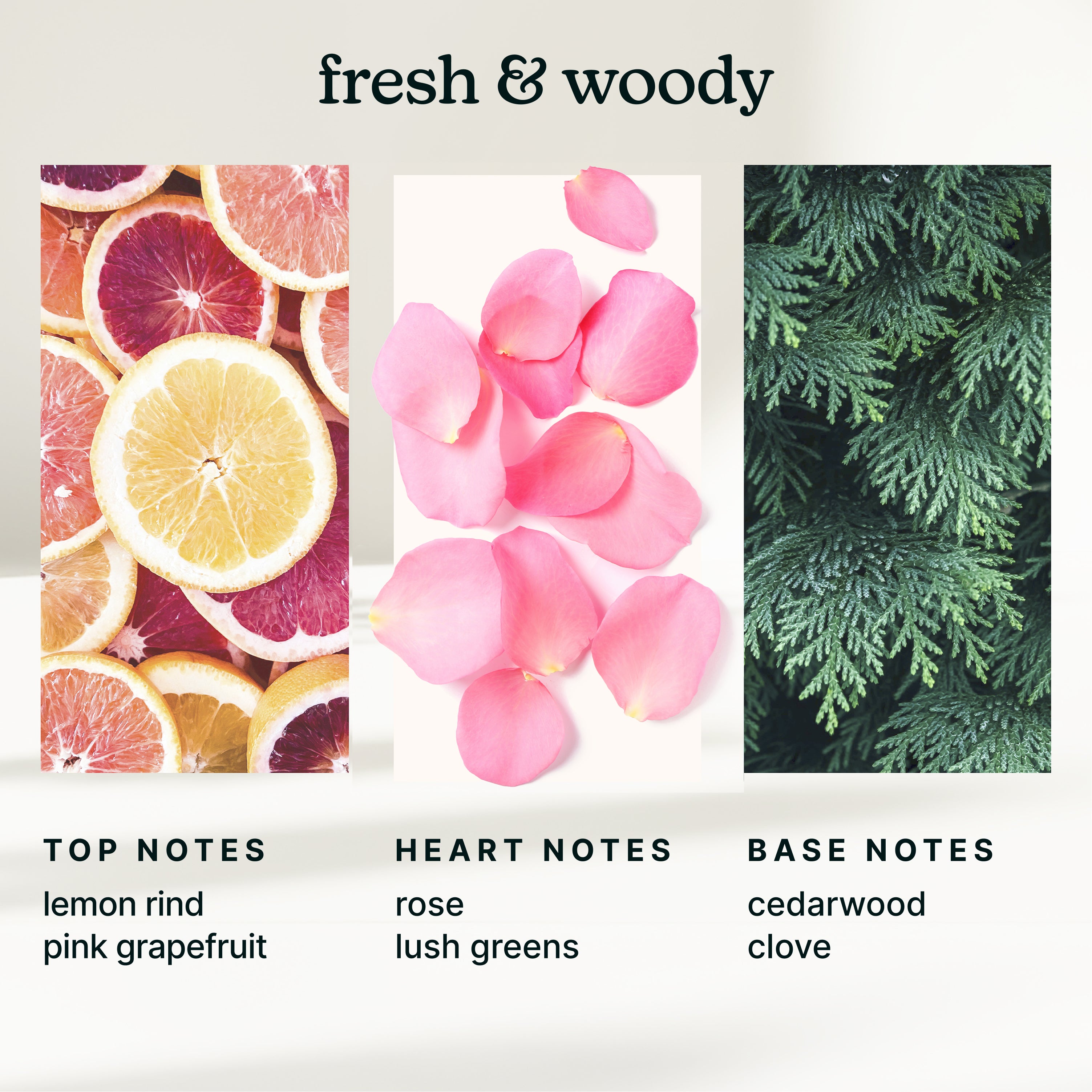 homedics-serenescent-tokyo-tea-aromatherapy-collection image 4