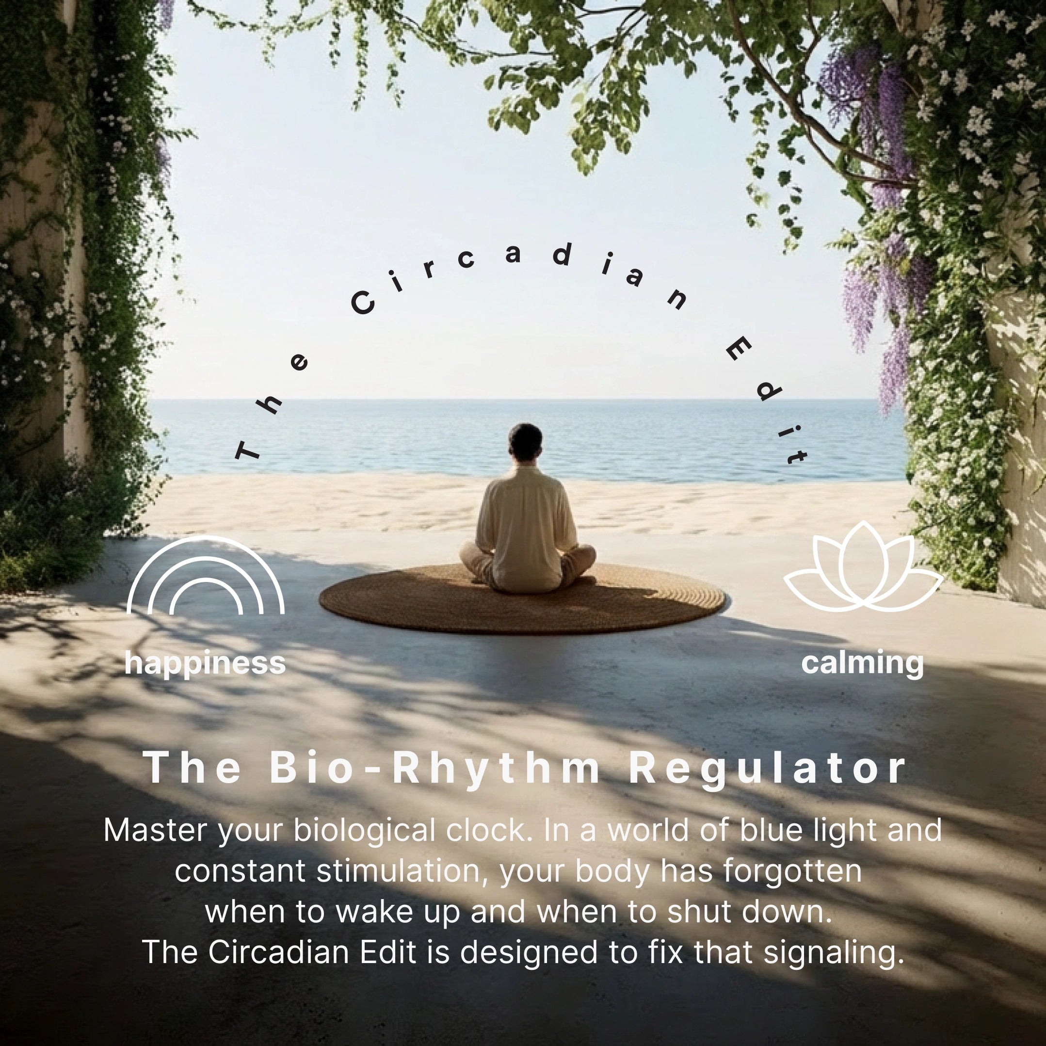 homedics-the-circadian-edit-essential-oil-set-120ml-lemon-ginger-lavender-chamom image 3