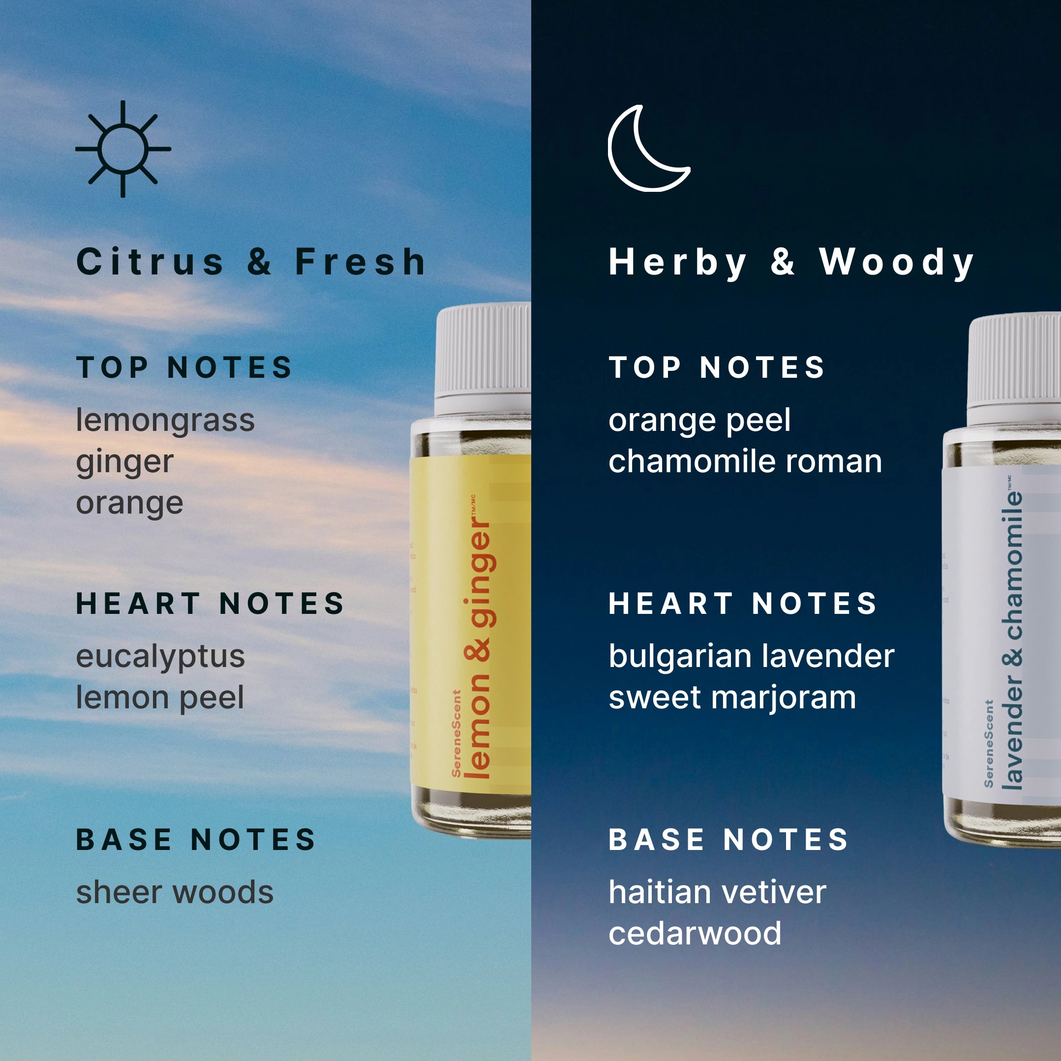 homedics-the-circadian-edit-essential-oil-set-120ml-lemon-ginger-lavender-chamom image 4