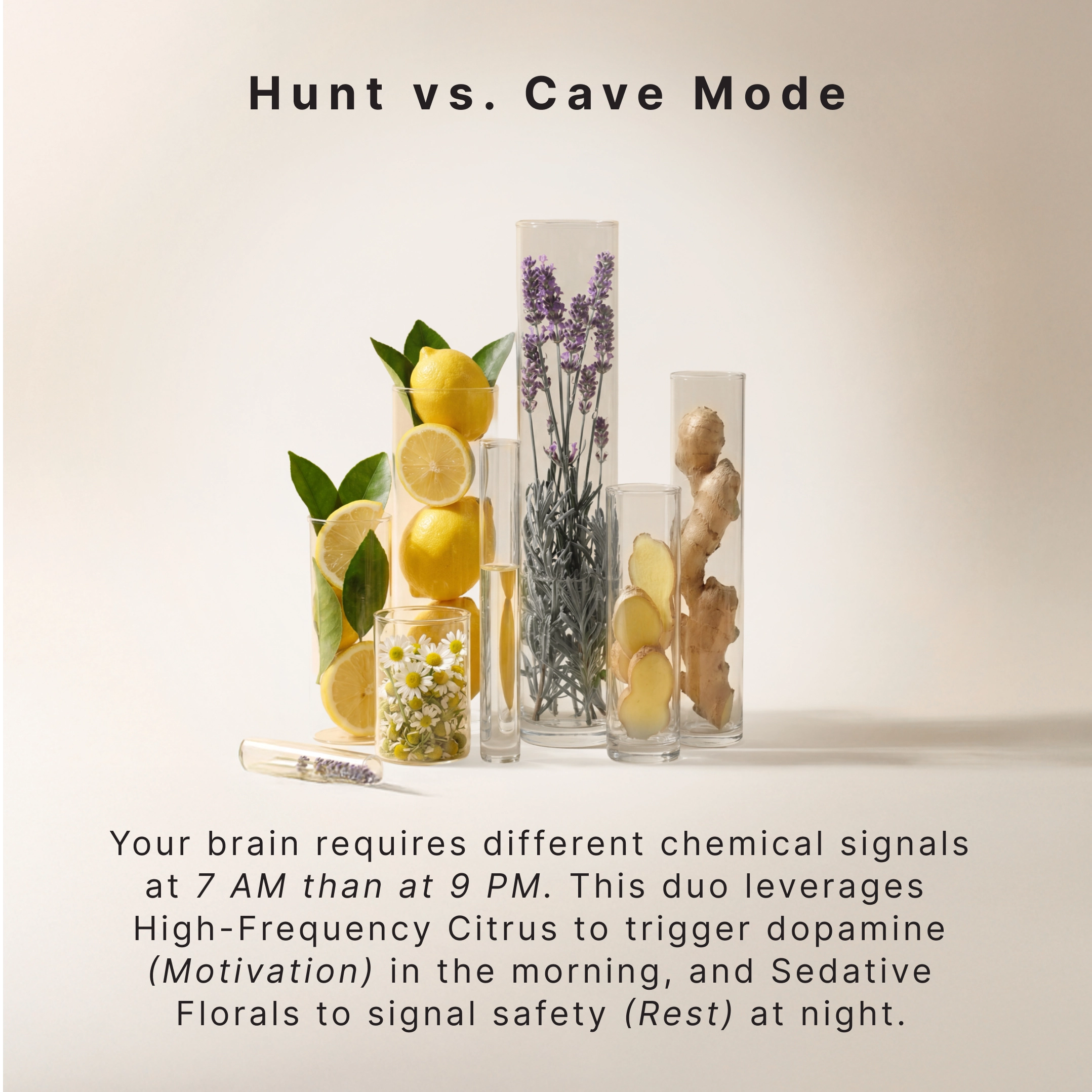 homedics-the-circadian-edit-essential-oil-set-120ml-lemon-ginger-lavender-chamom image 5