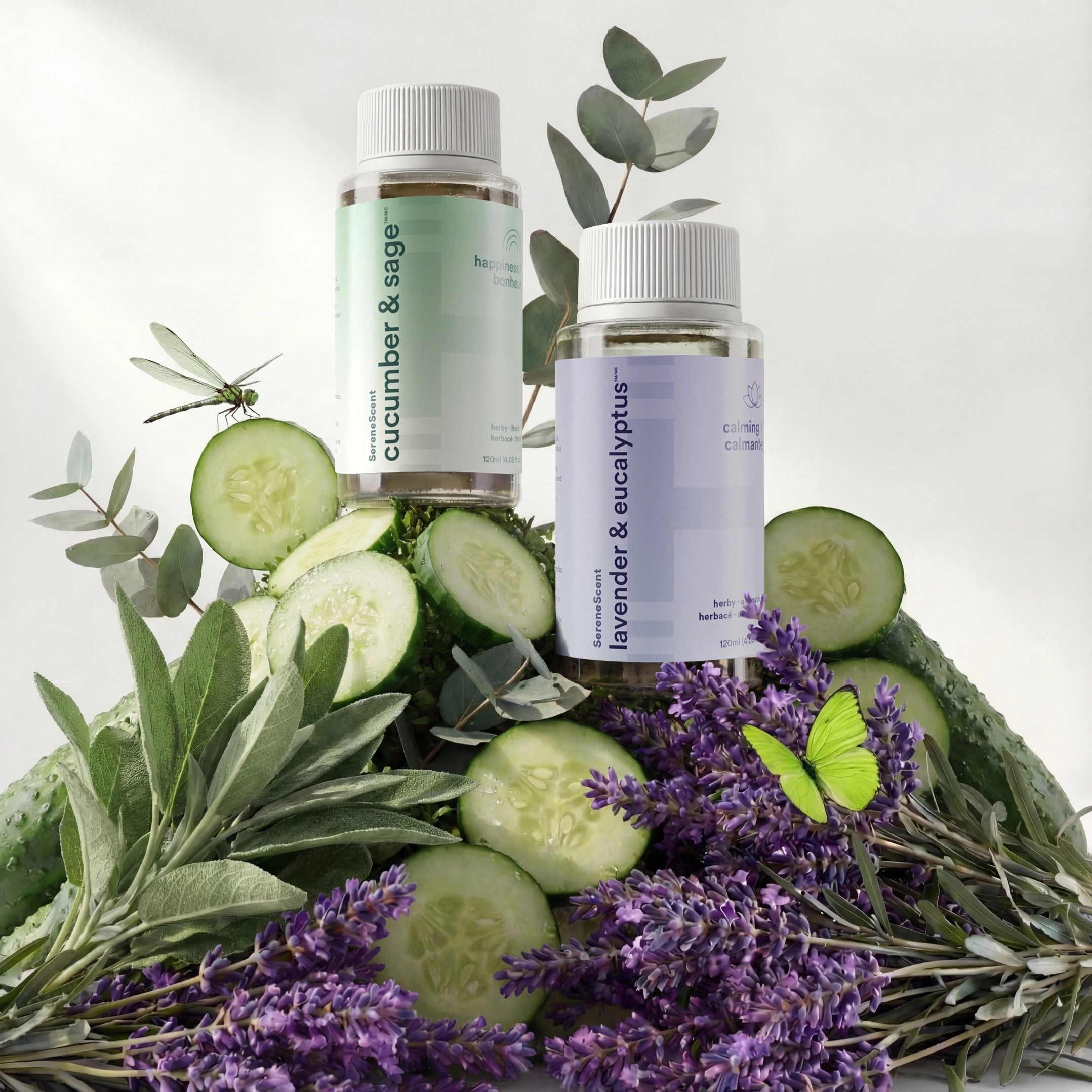 homedics-the-clarity-kit-with-cucumber-sage-and-lavender-eucalyptus-essential-oi image 1