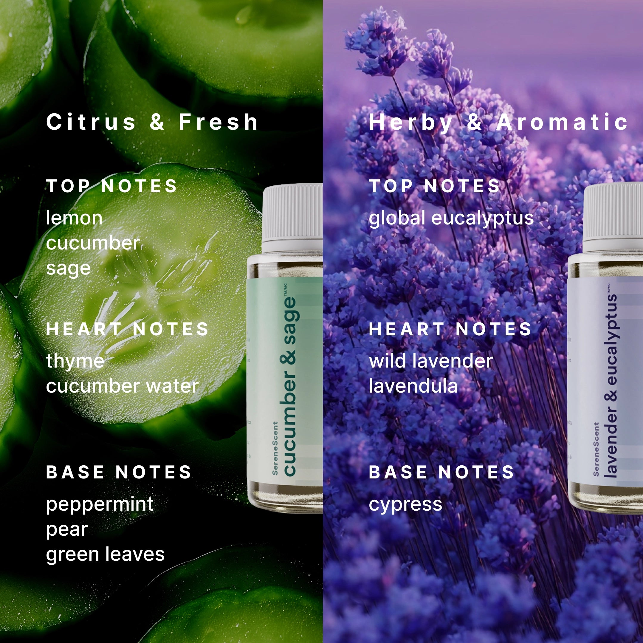 homedics-the-clarity-kit-with-cucumber-sage-and-lavender-eucalyptus-essential-oi image 4