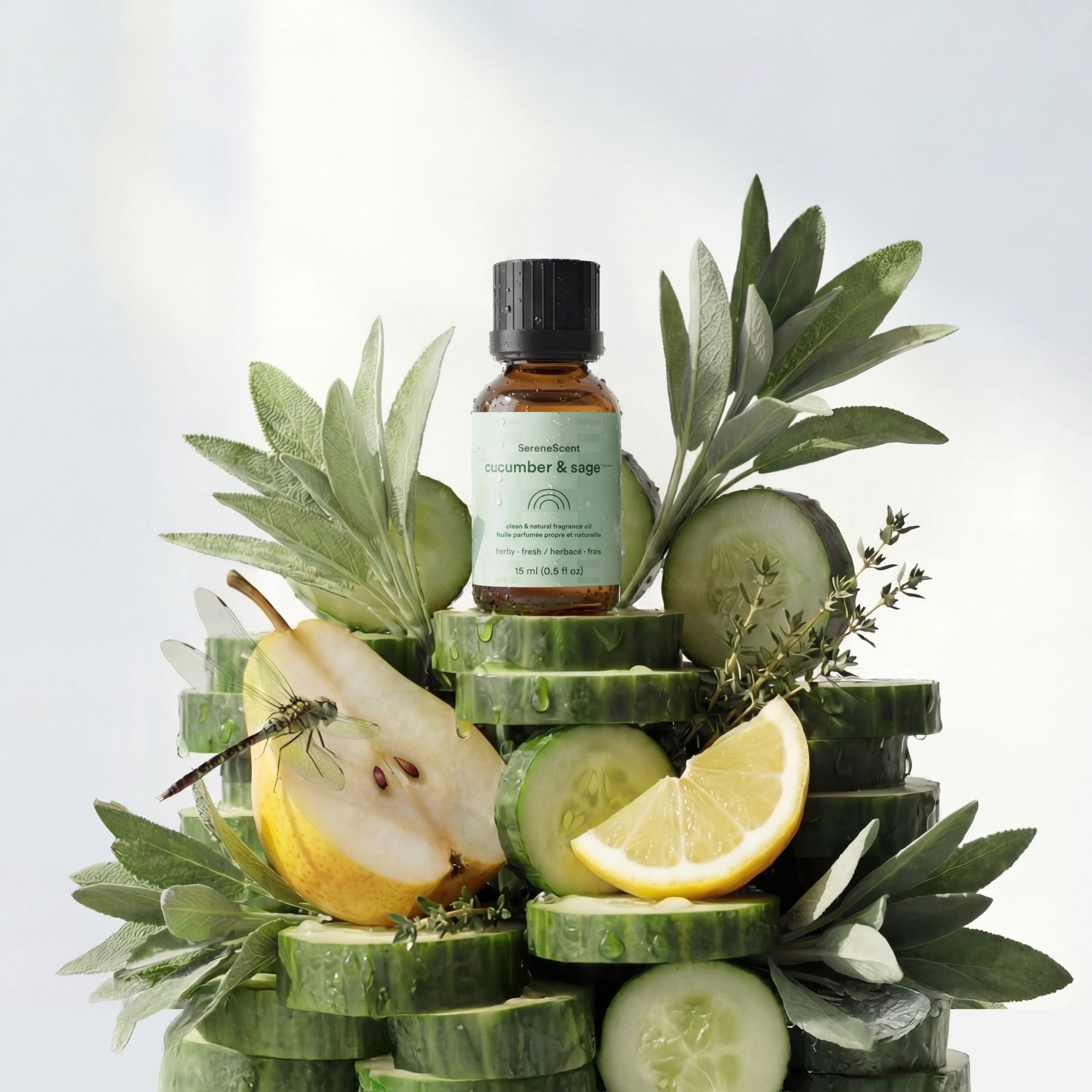 homedics-serenescent-cucumber-sage-aromatherapy-oil-15ml image 1