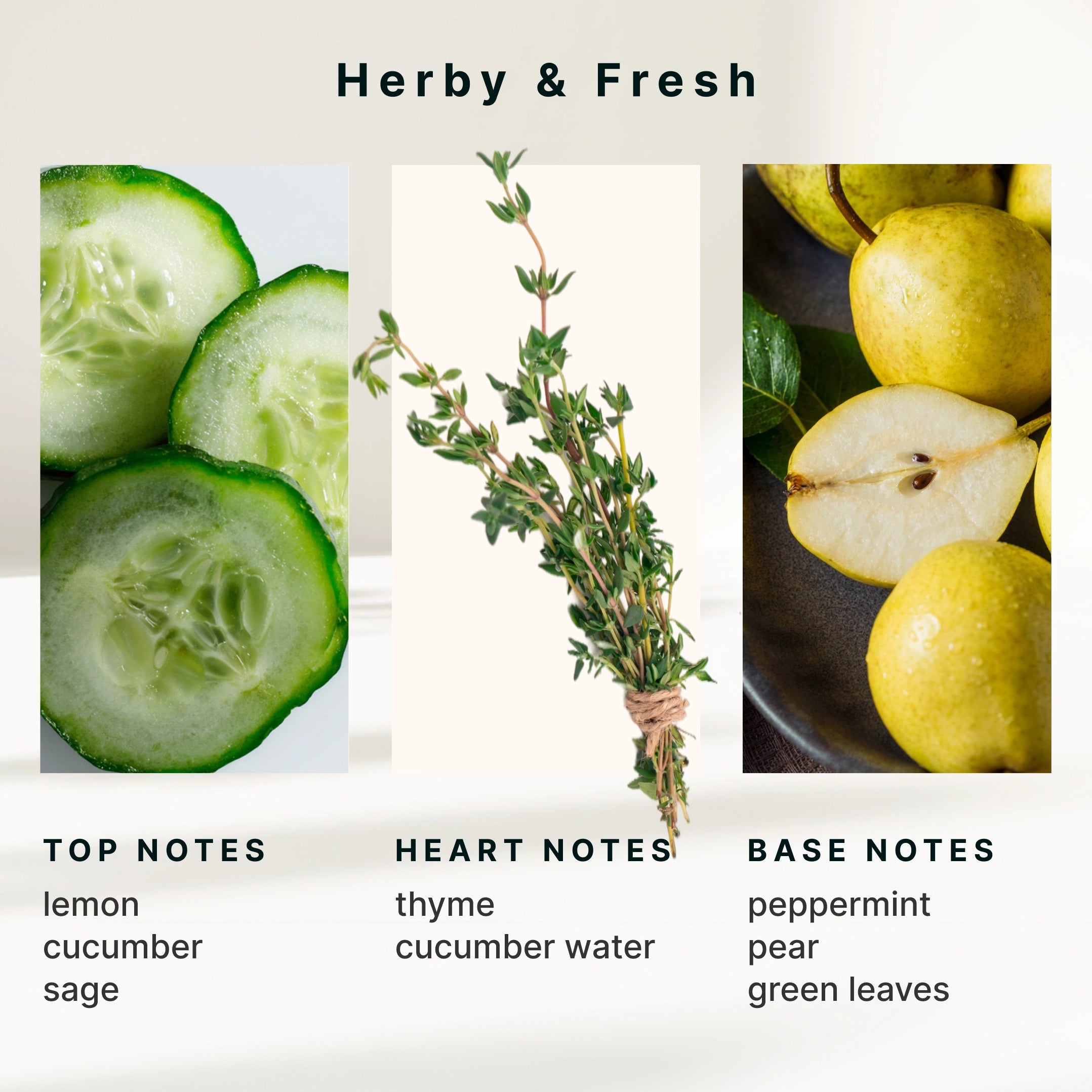 homedics-serenescent-cucumber-sage-aromatherapy-oil-15ml image 6