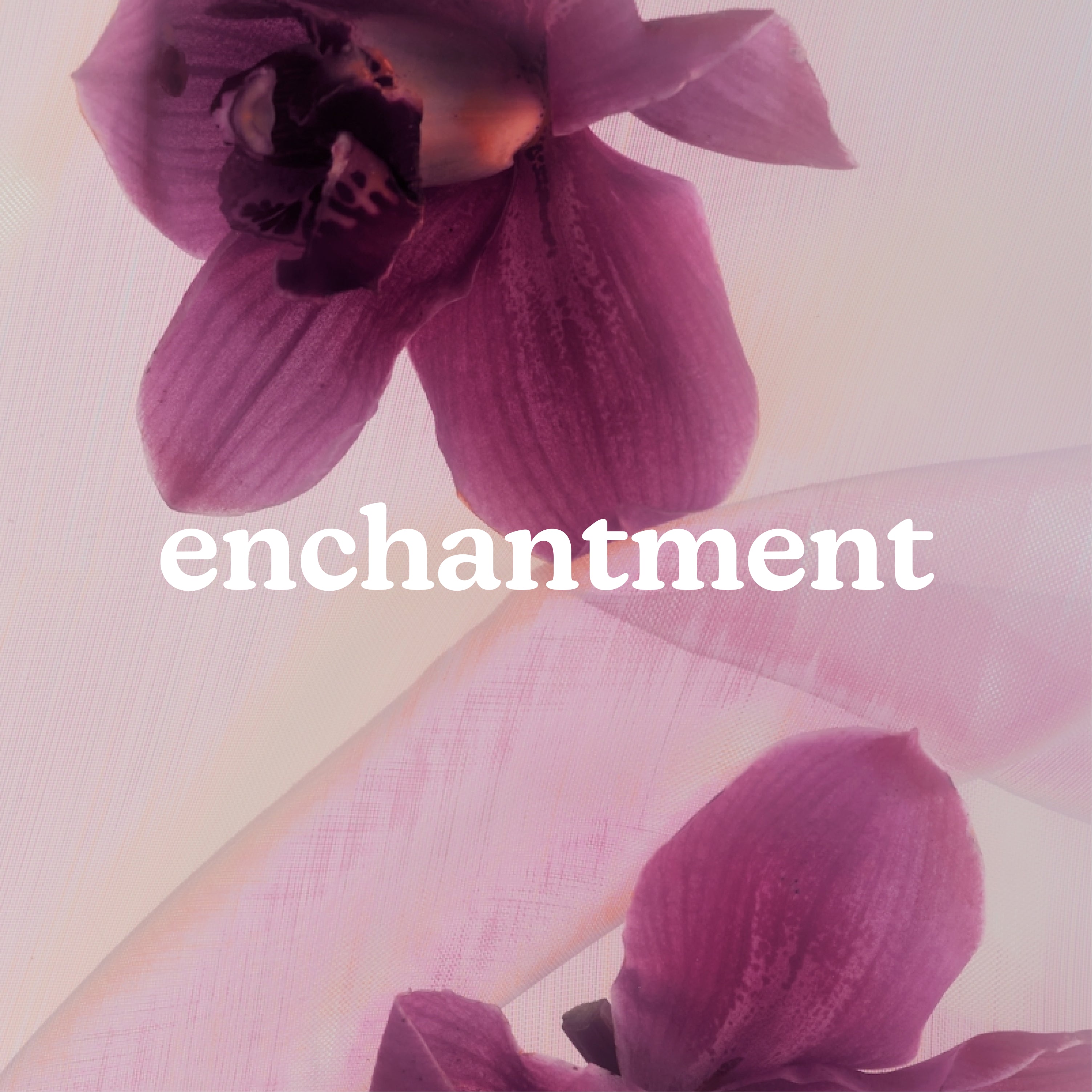 homedics-serenescent-enchantment-essential-oil-blend-15ml image 2