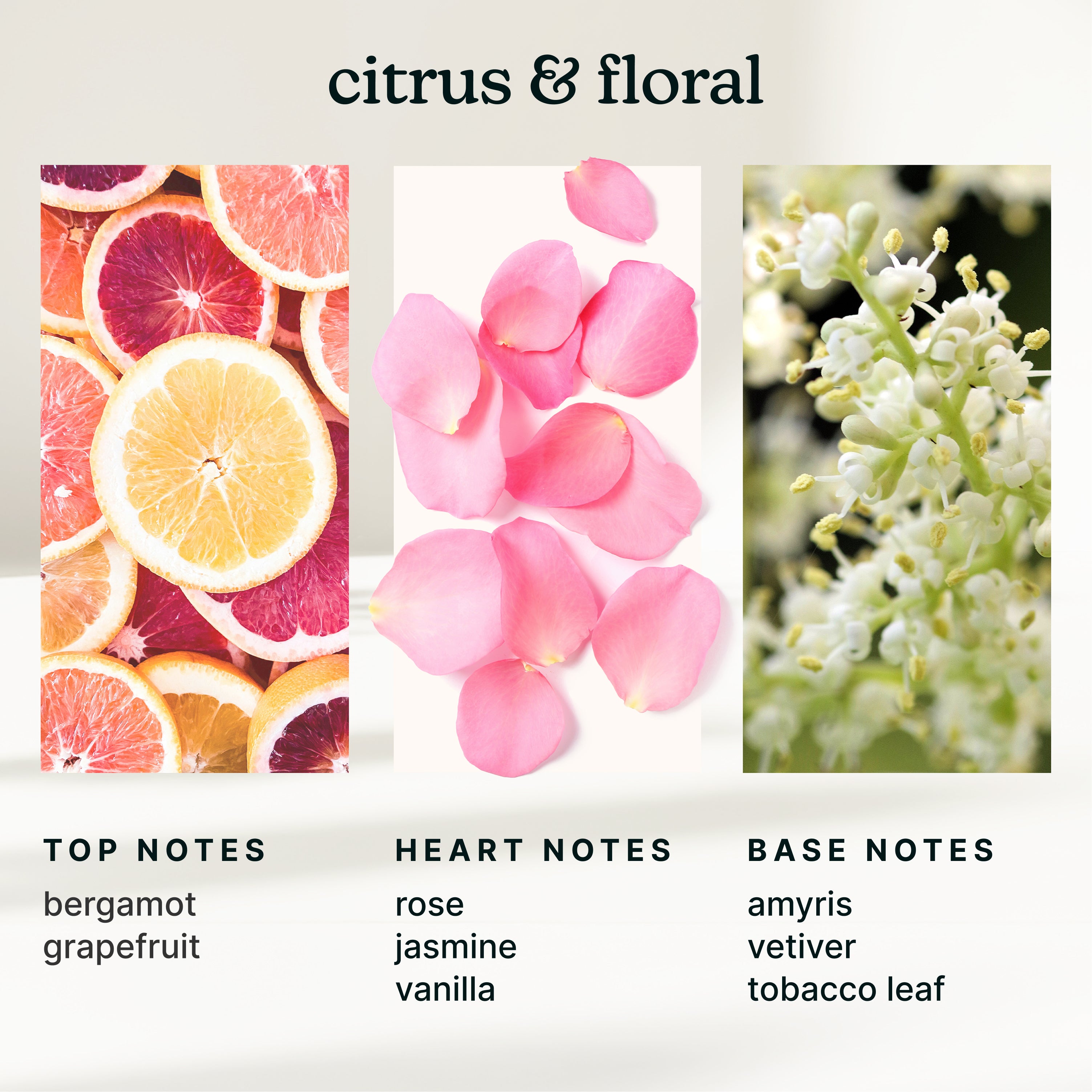 homedics-serenescent-enchantment-essential-oil-blend-15ml image 4