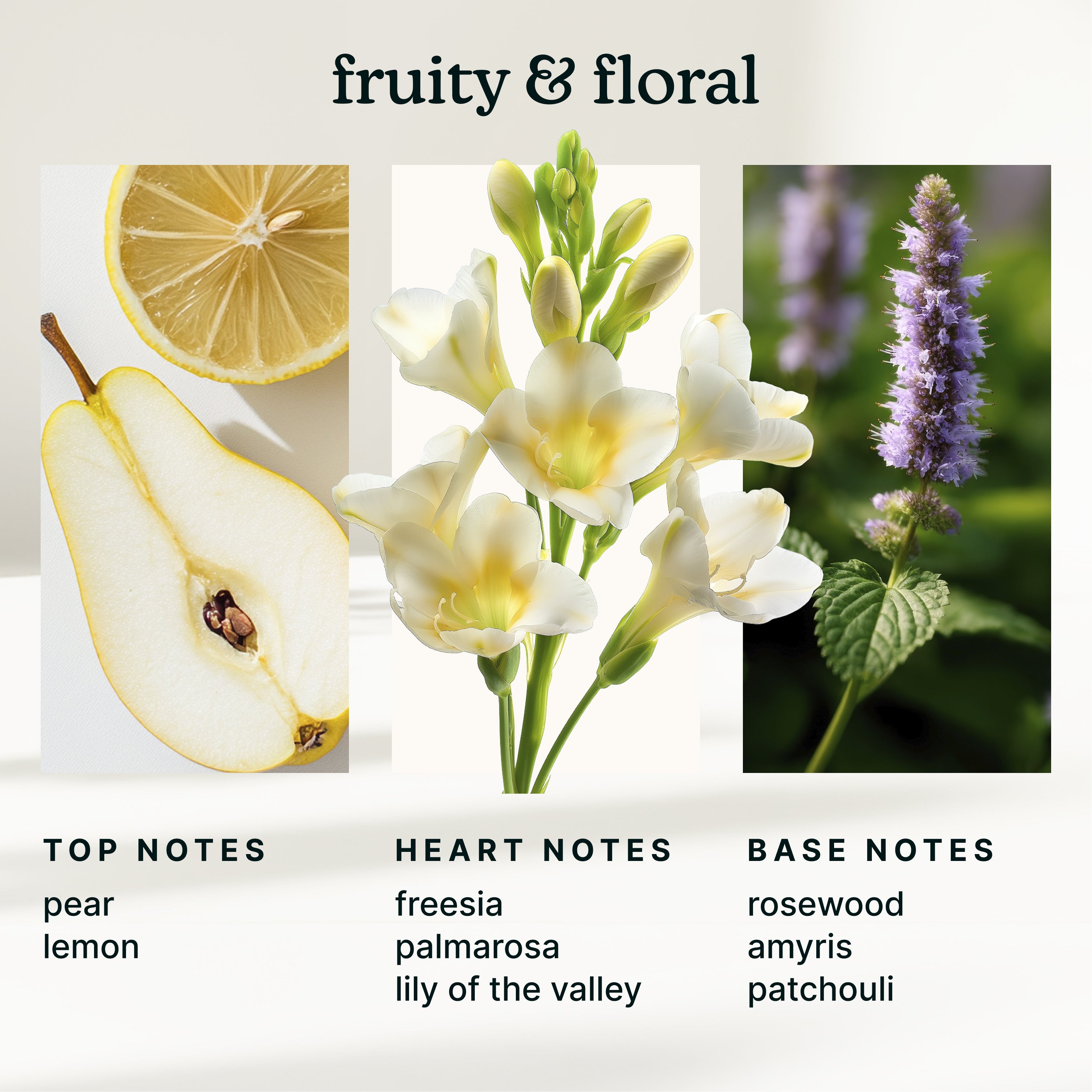 homedics-serenescent-freesia-pear-essential-oil-blend-15ml image 4