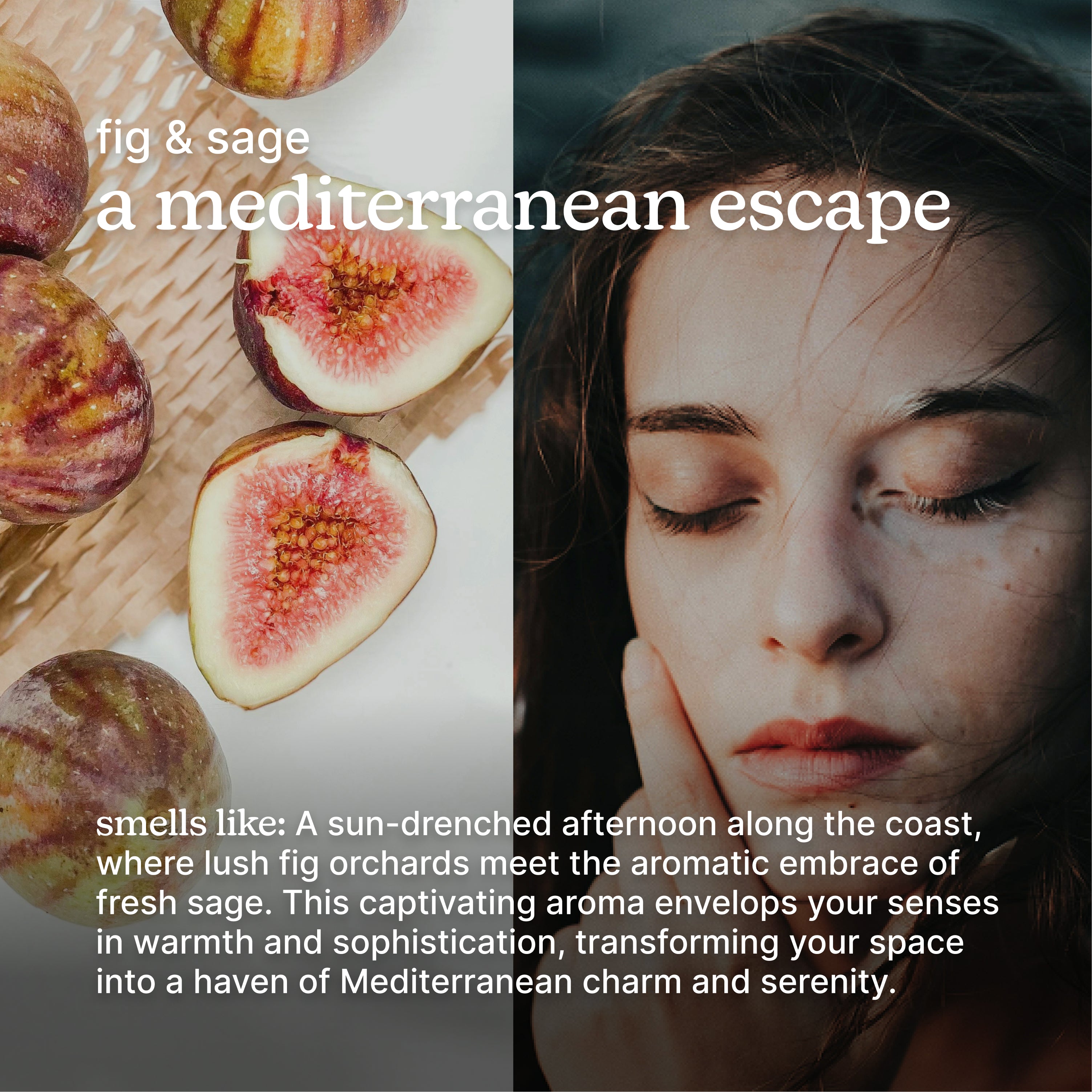 homedics-serenescent-fig-sage-aromatherapy-oil image 3