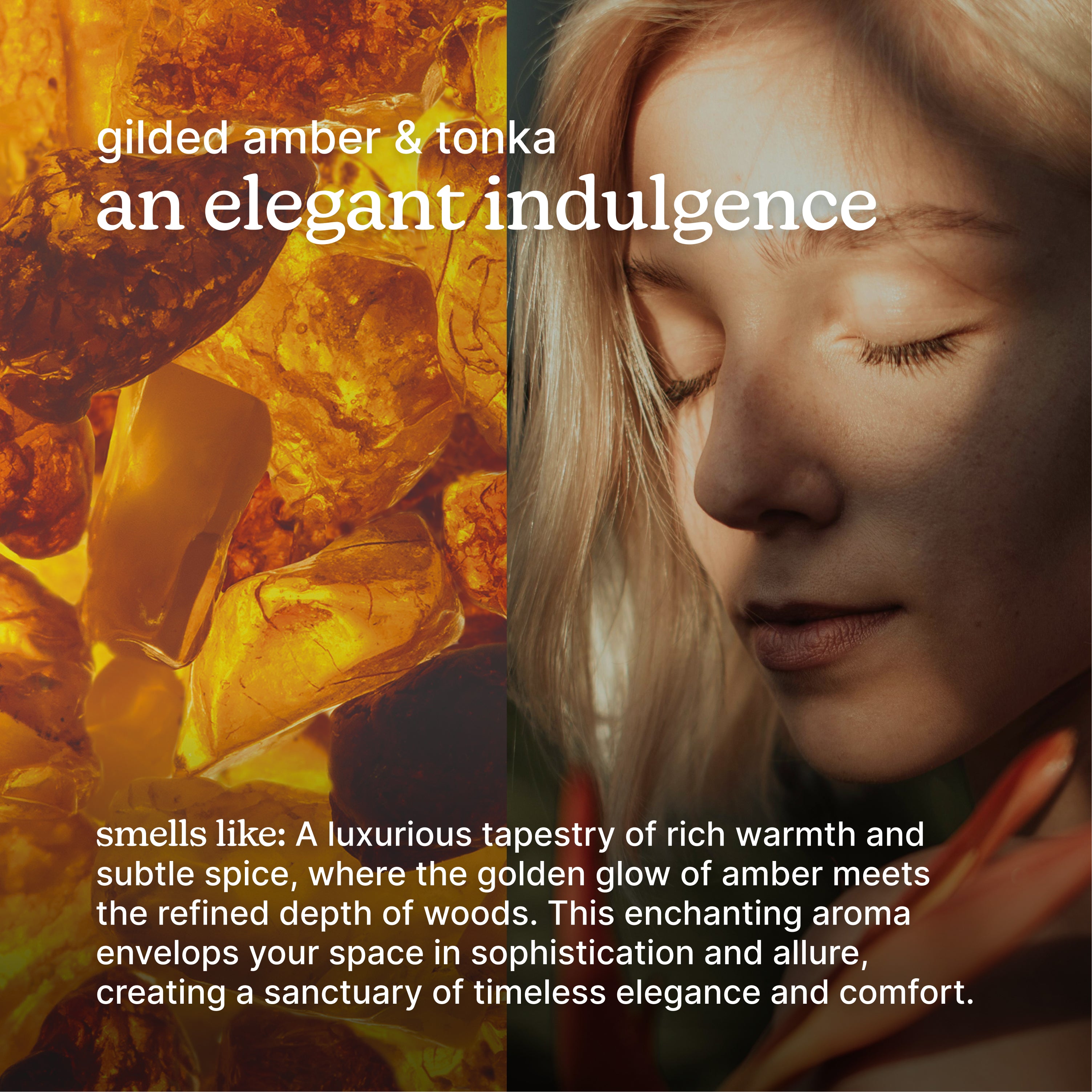 homedics-serenescent-gilded-amber-tonka-aromatherapy-fragrance image 3