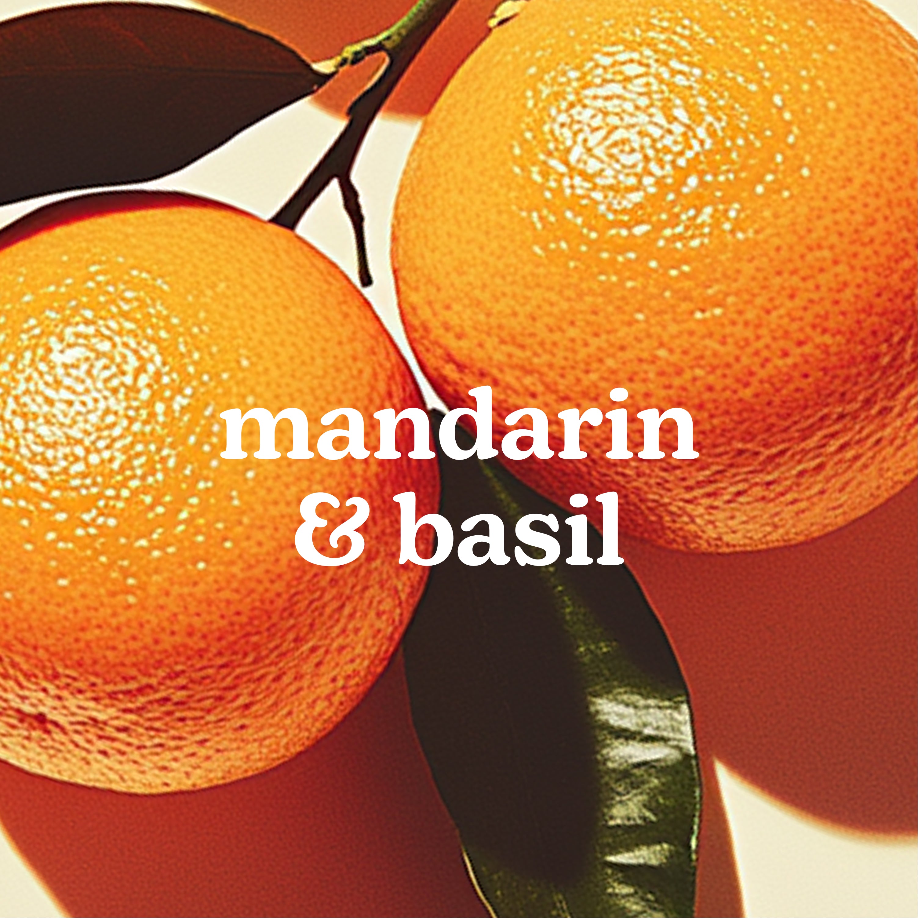 homedics-serenescent-mandarin-basil-aromatherapy-oil image 2