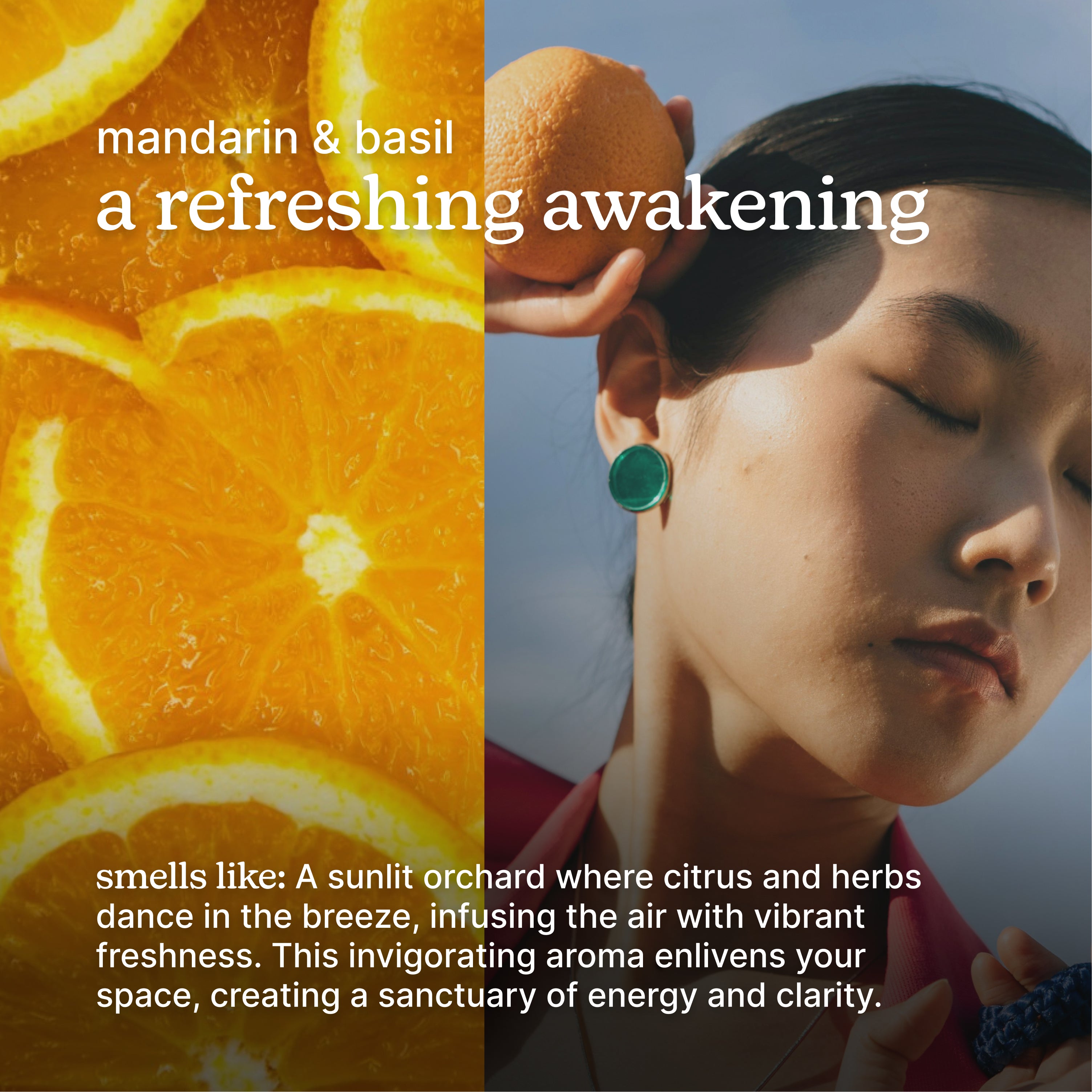 homedics-serenescent-mandarin-basil-aromatherapy-oil image 3