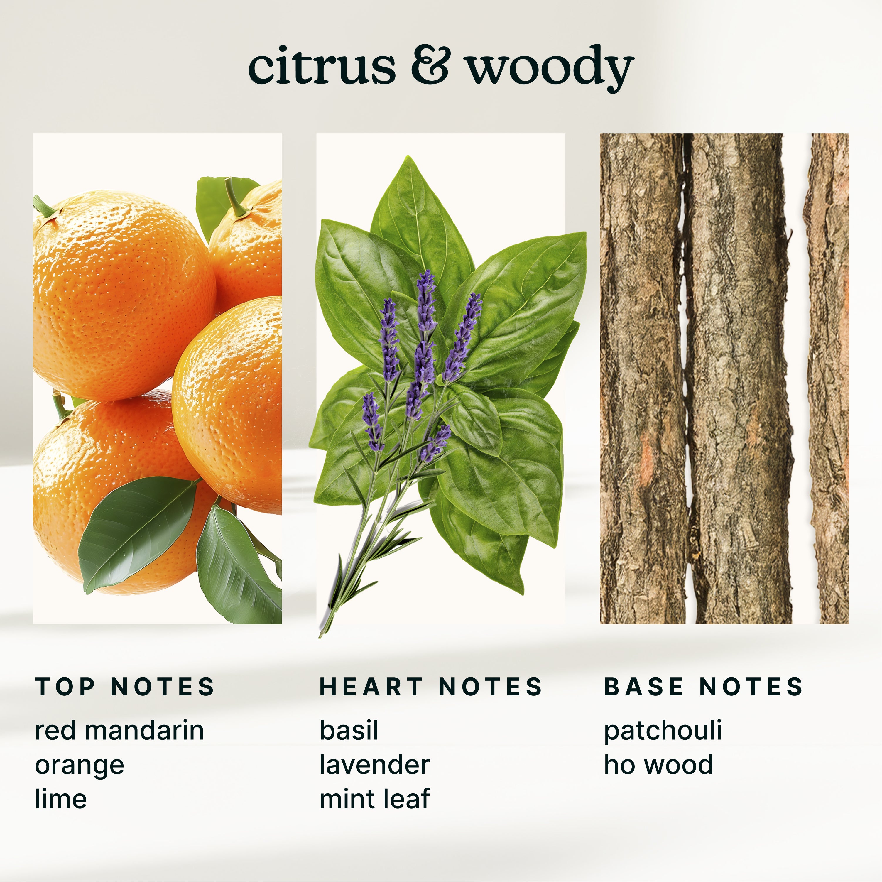 homedics-serenescent-mandarin-basil-aromatherapy-oil image 4