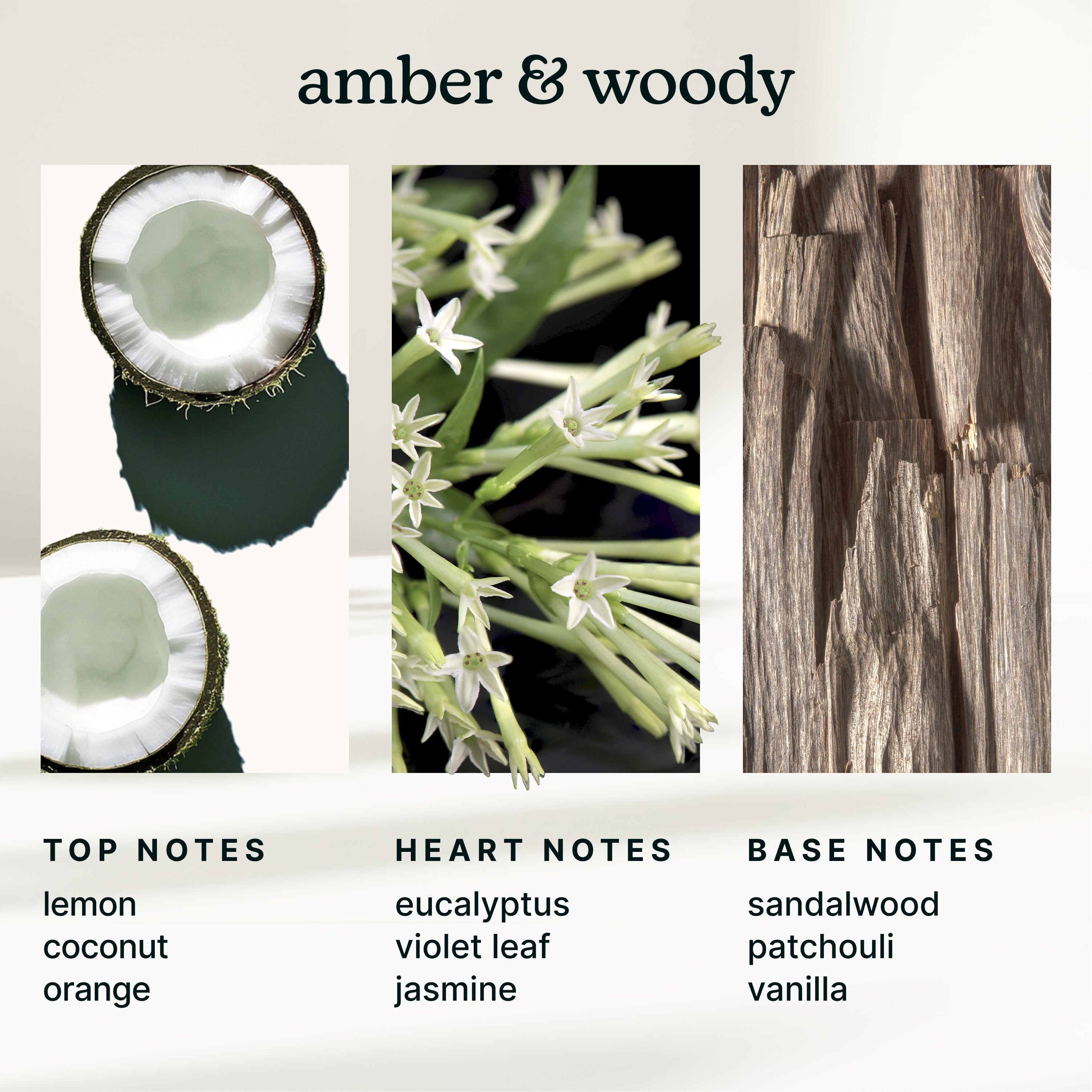 homedics-serenescent-miami-sunset-aromatherapy-fragrance-oil image 4