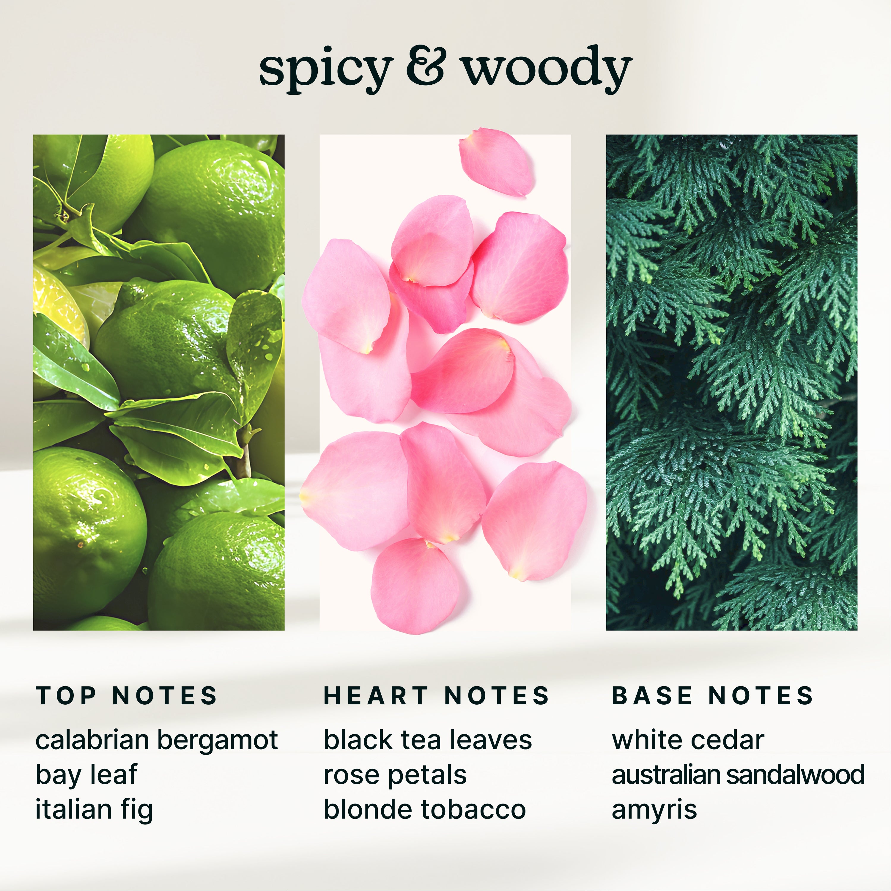 homedics-serenescent-parisian-affair-essential-oil-blend-15ml image 4