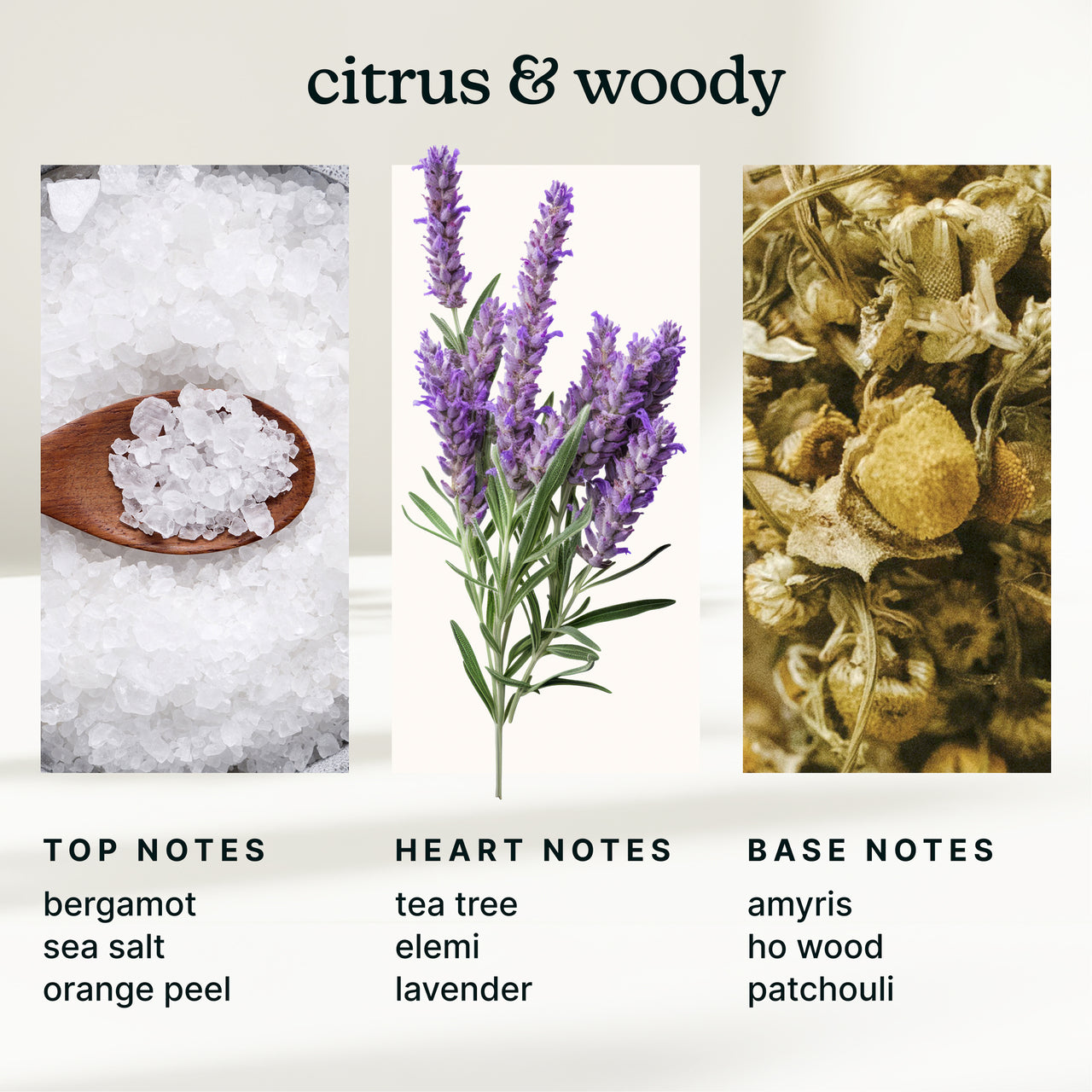 homedics-serenescent-white-sage-moss-15ml-essential-oil-blend image 4