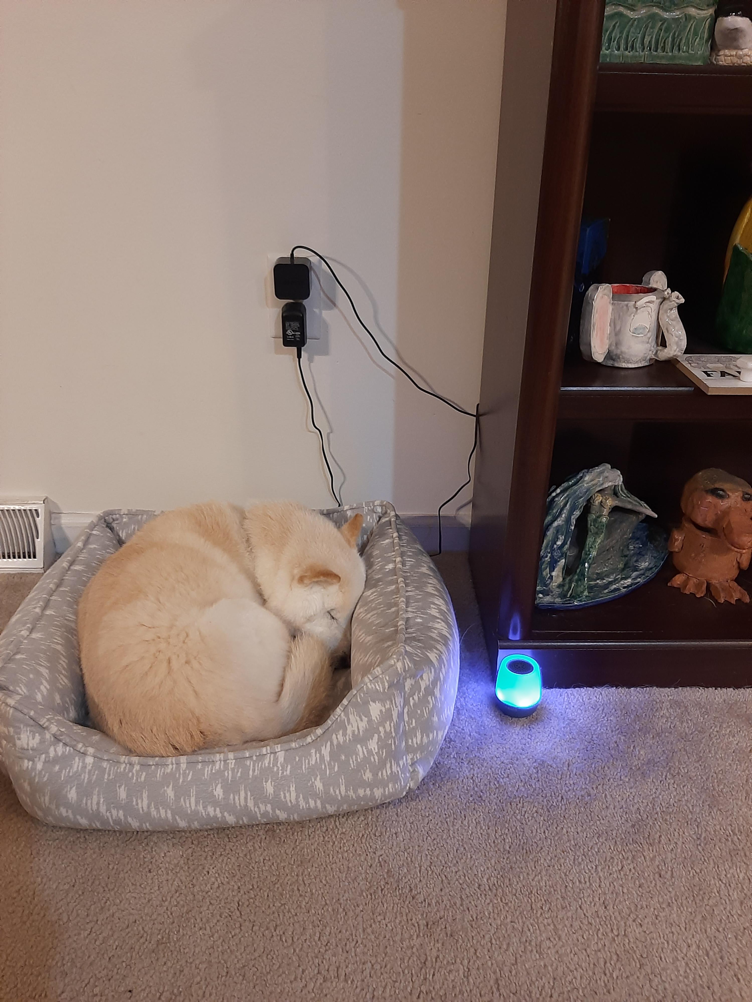 Battery hog
