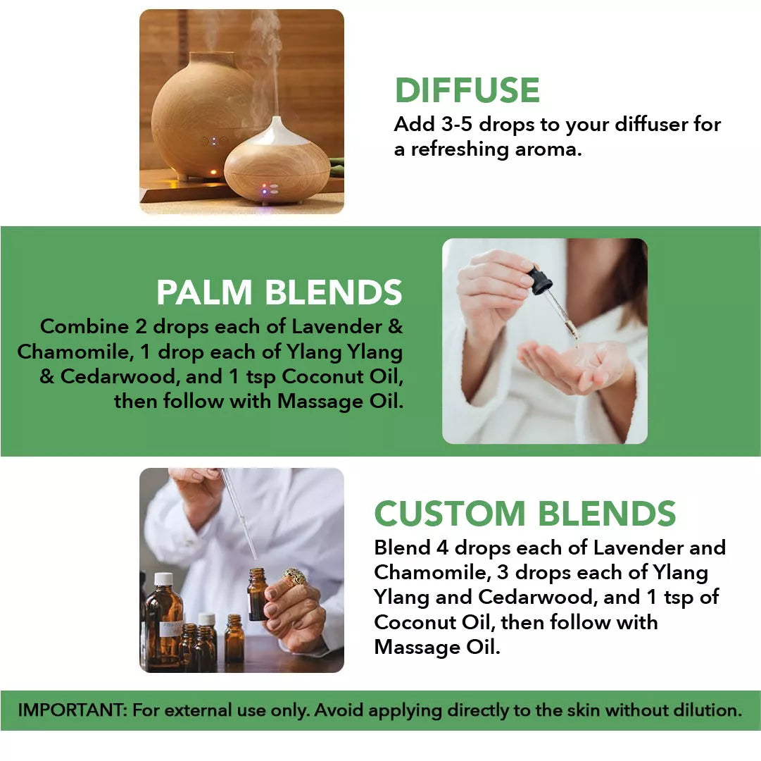 majestic-pure-gift-of-sleep-ritual-4-essential-oil-blend-with-fractionated-cocon image 5