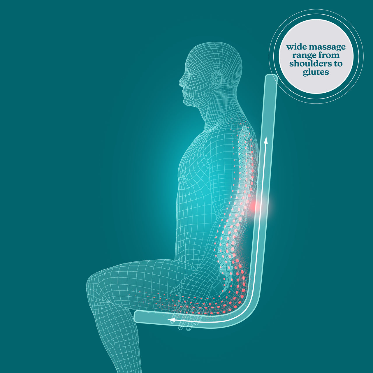 homedics-shiatsuflex-massage-cushion-with-deep-kneading-relief image 3