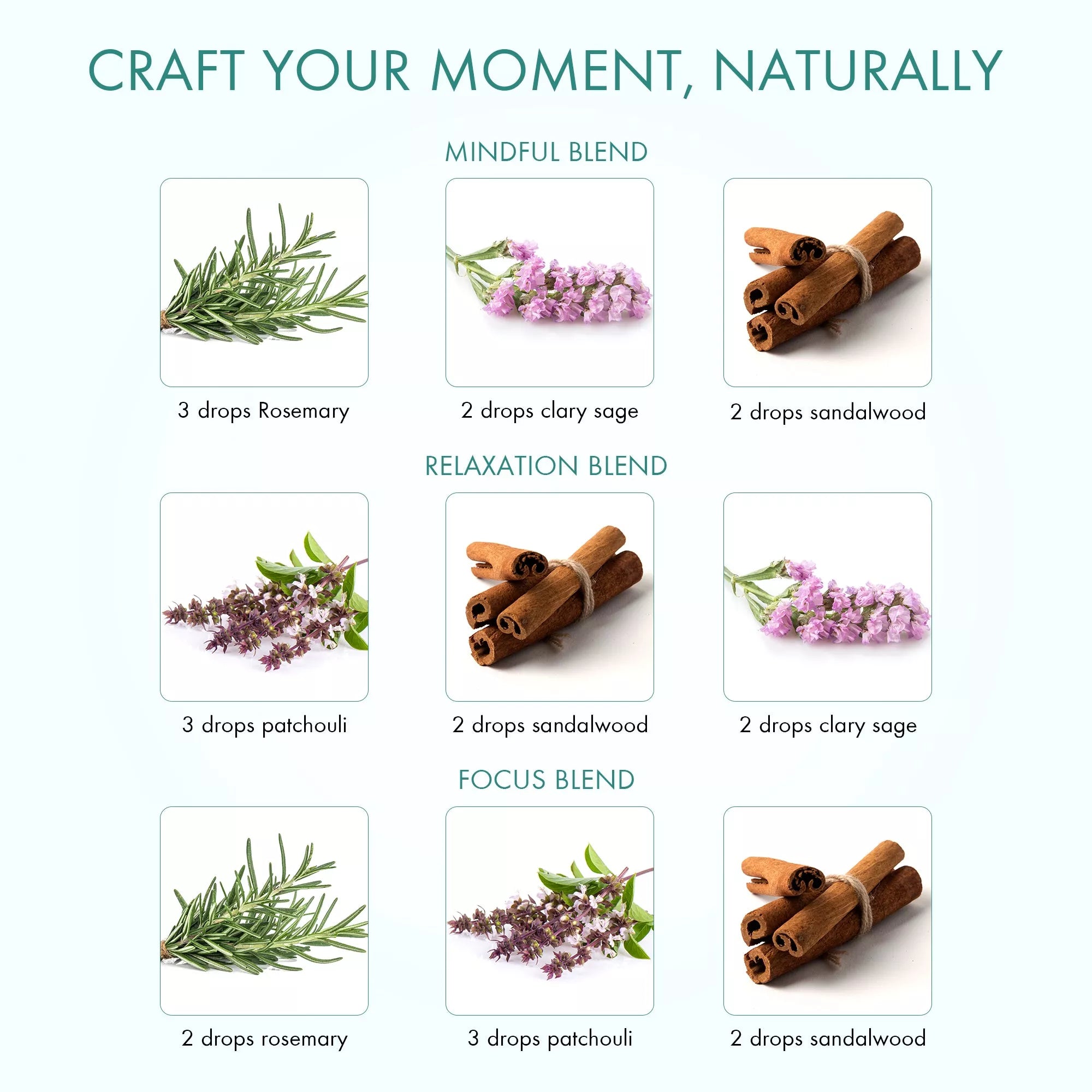 majestic-pure-zen-state-of-mind-essential-oil-gift-set-4-x-0-3-fl-oz-rosemary-cl image 4