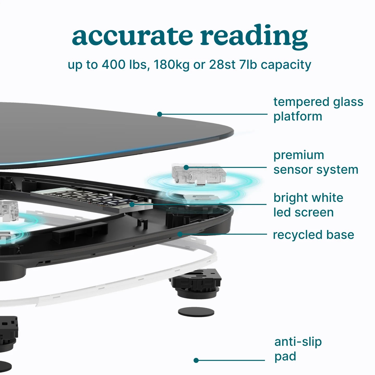 homedics-essential-glo-scale-digital-body-composition-scale-with-app-integration image 4
